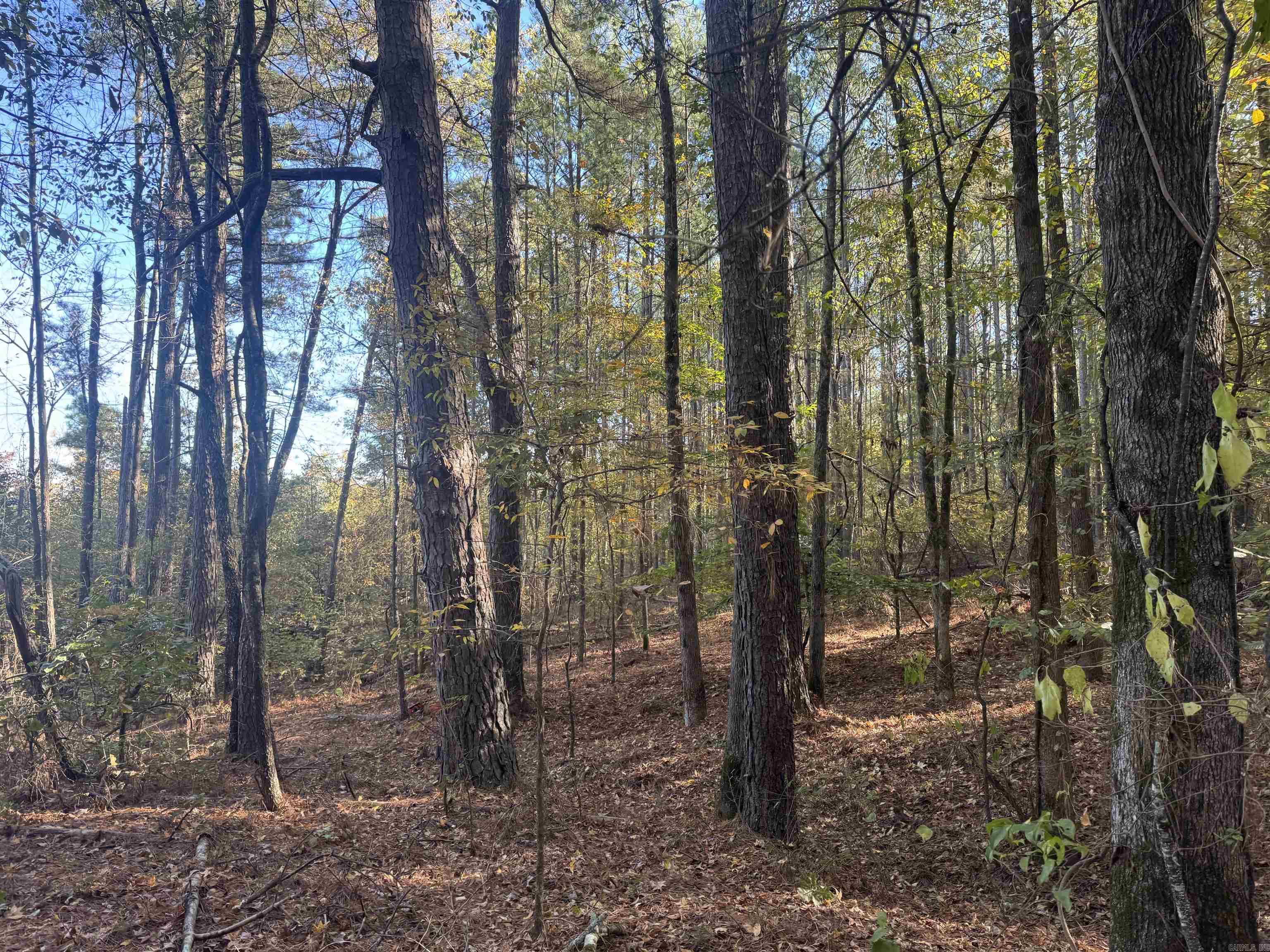 000 Sulpher Springs rd  Pine Bluff, AR