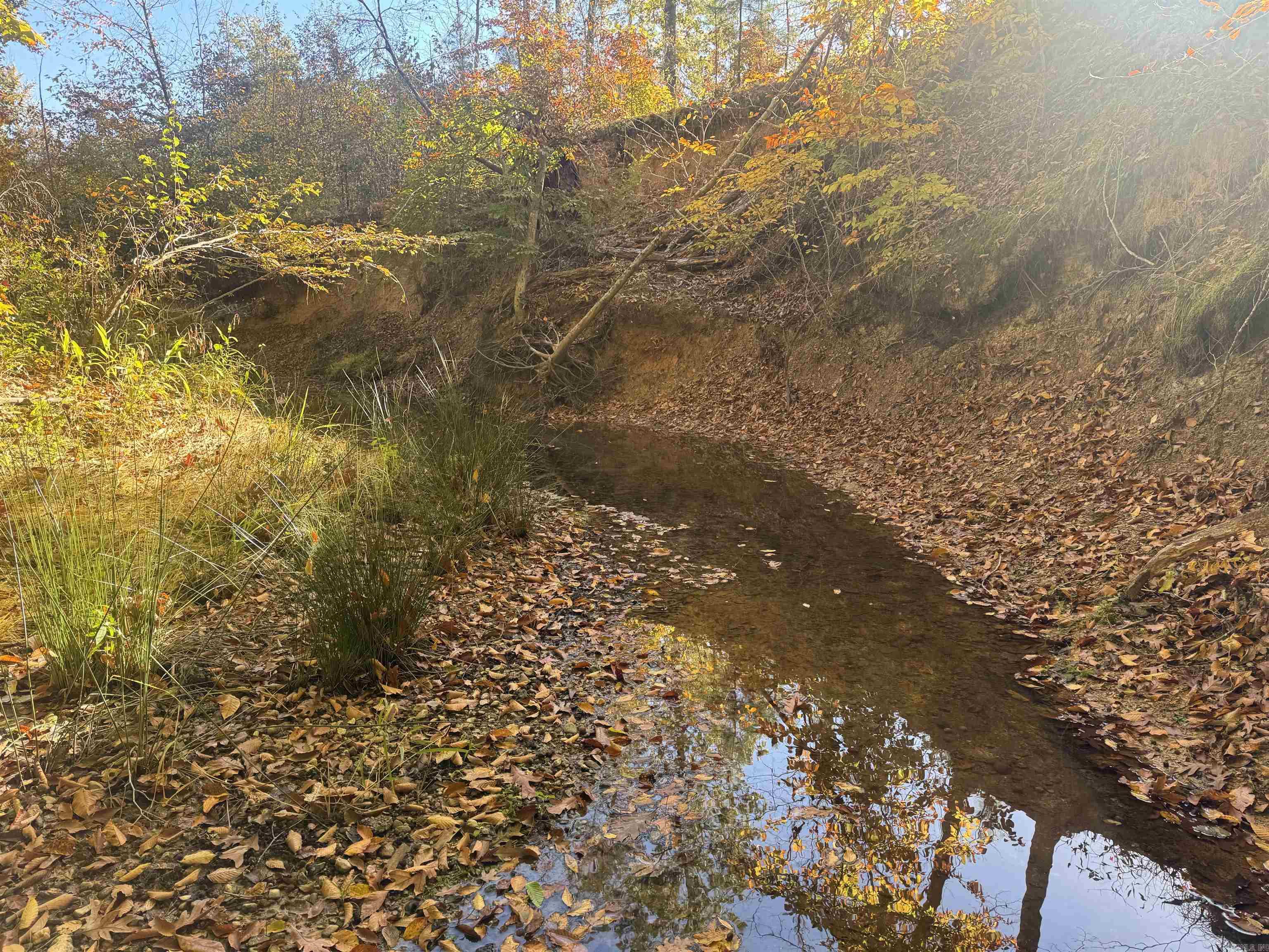 000 Sulpher Springs rd  Pine Bluff, AR