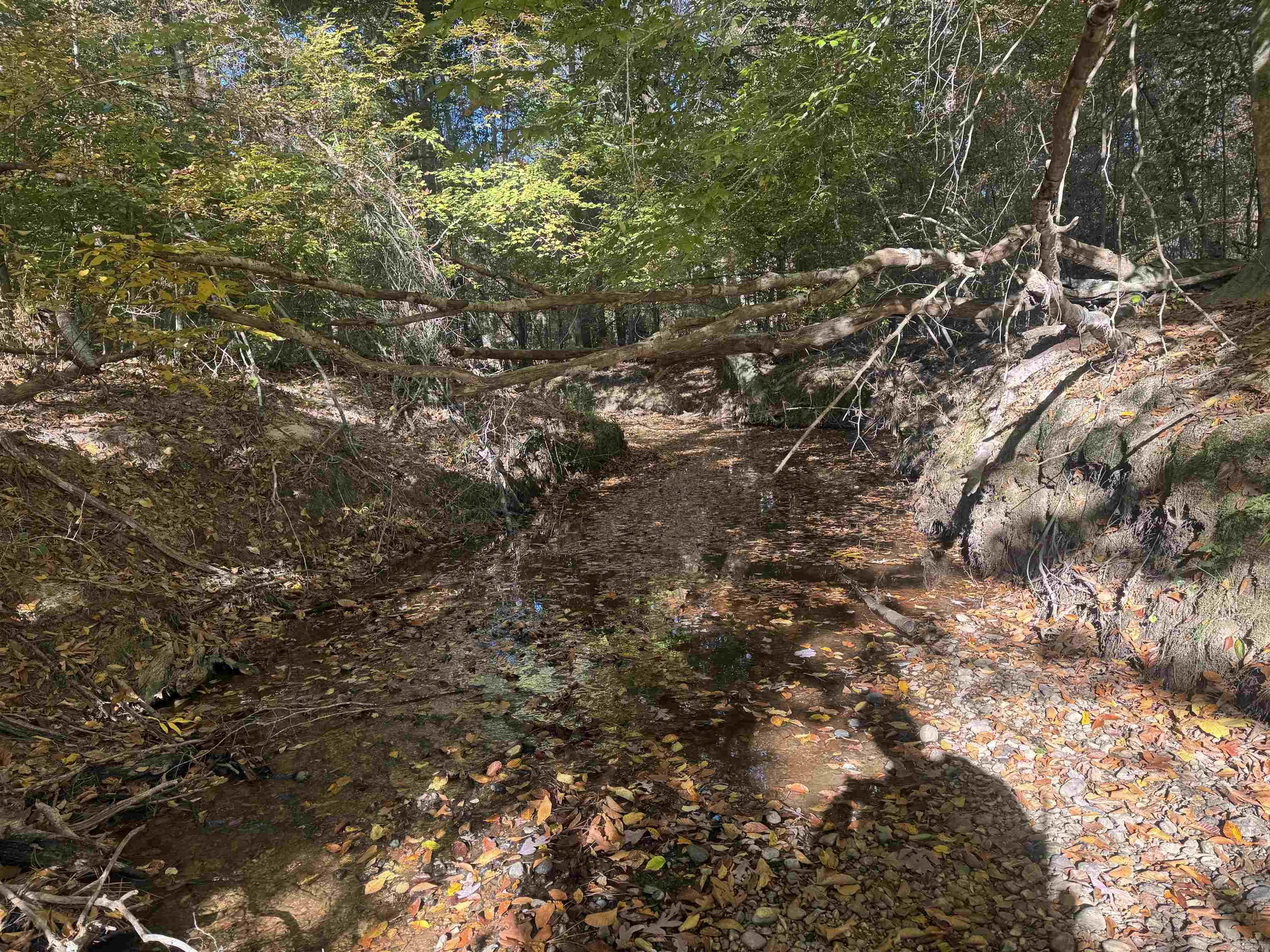 000 Sulpher Springs rd  Pine Bluff, AR