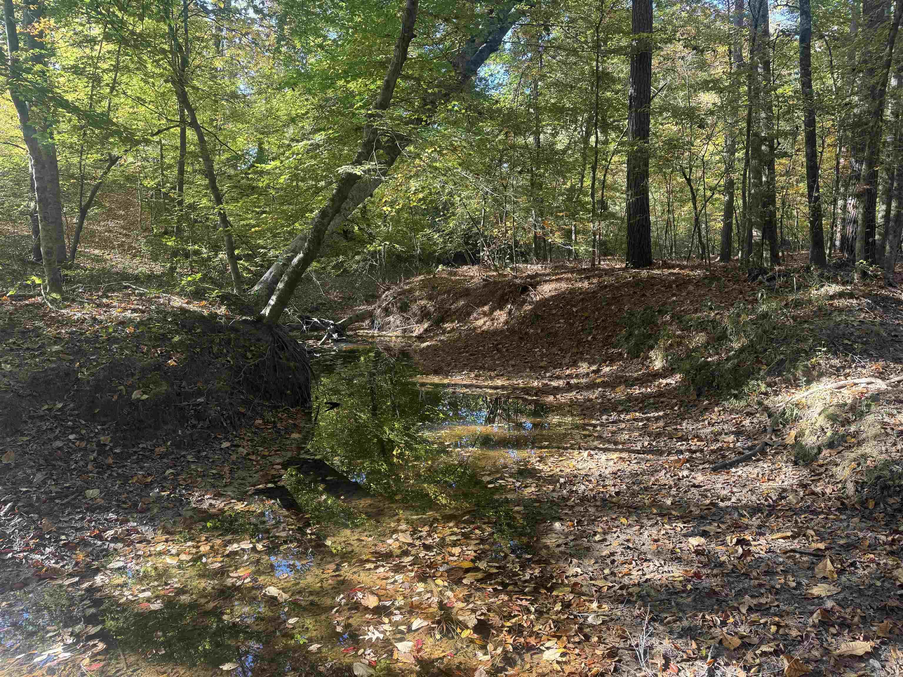 000 Sulpher Springs rd  Pine Bluff, AR