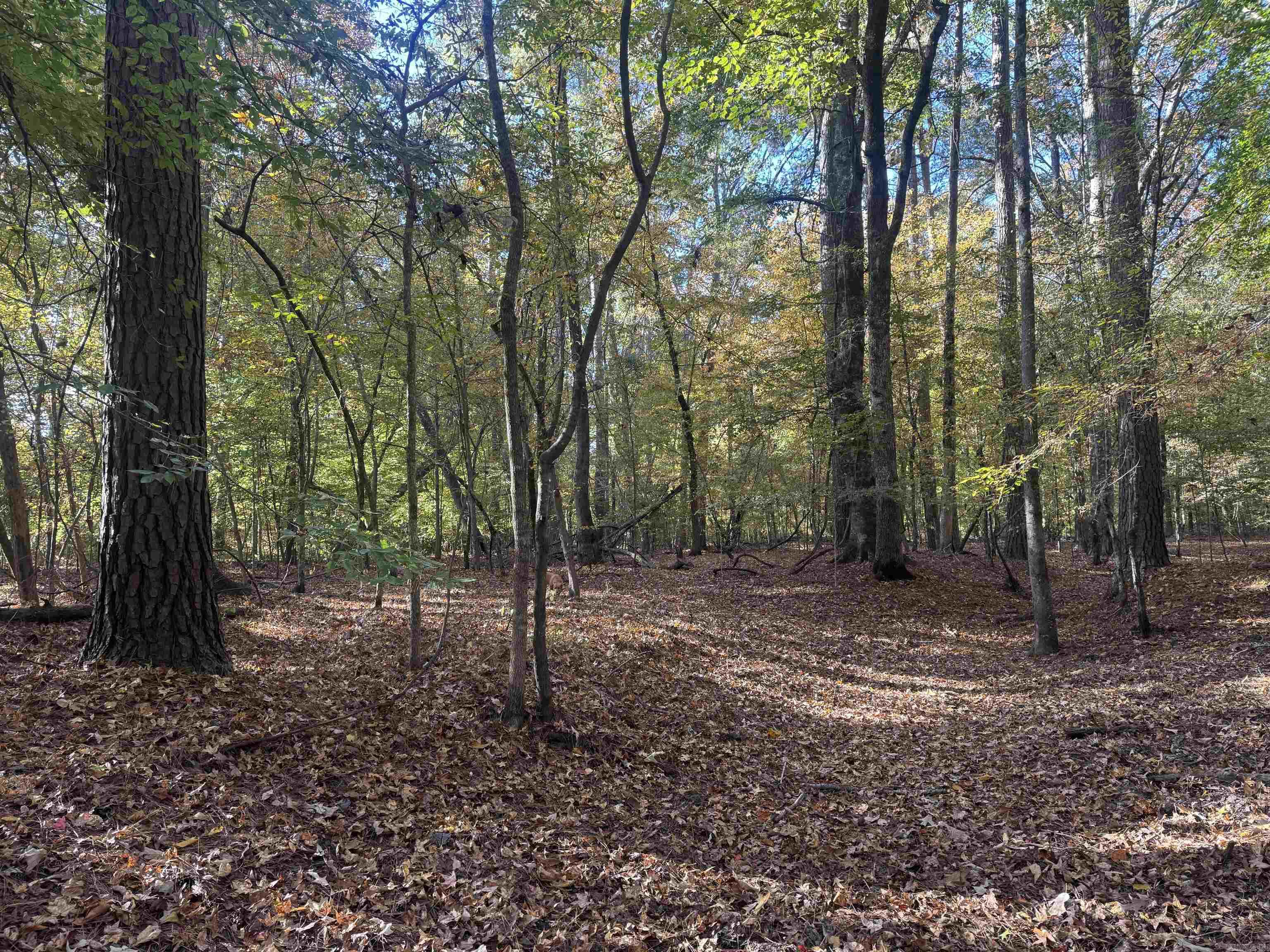 000 Sulpher Springs rd  Pine Bluff, AR