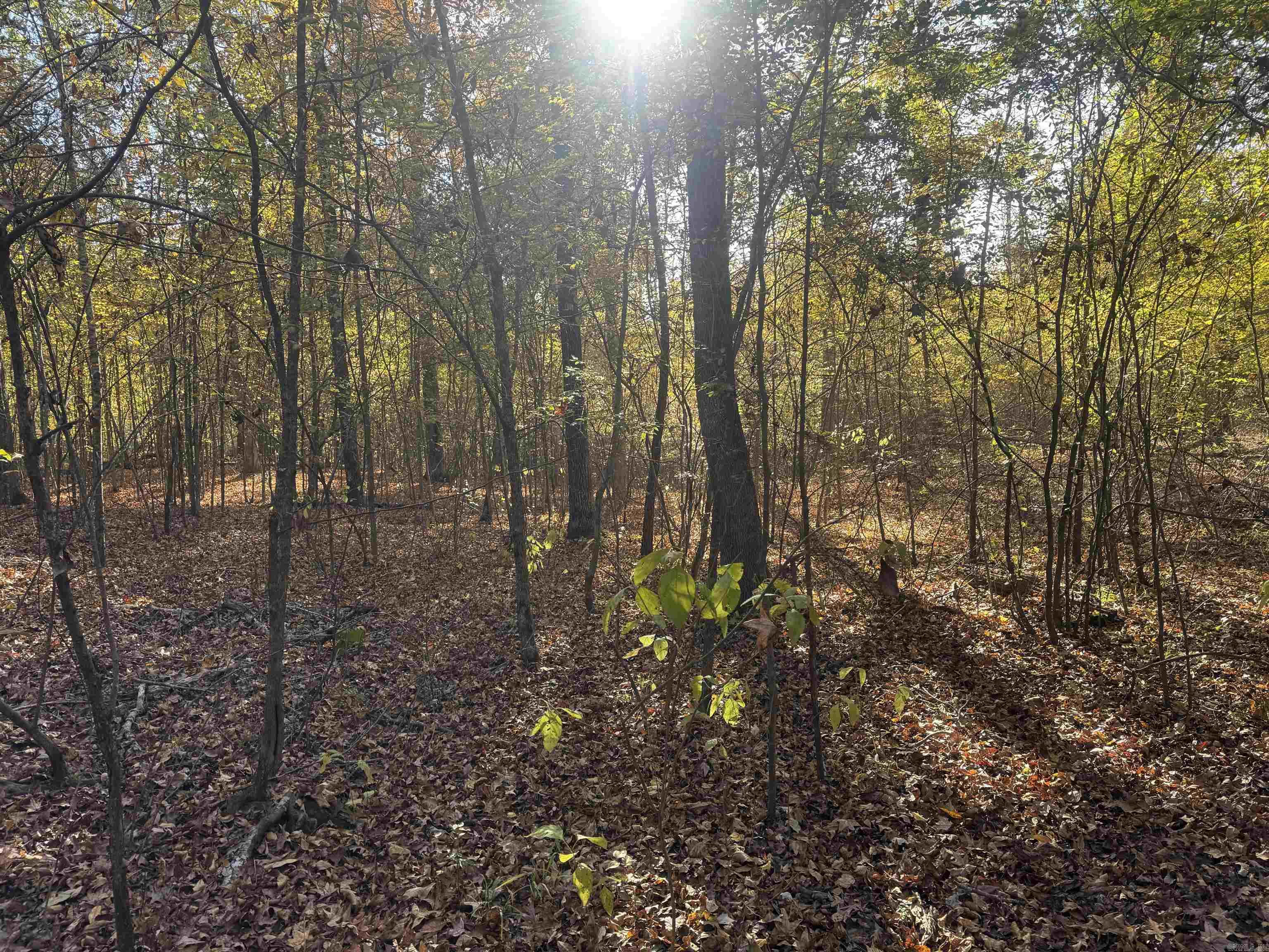 000 Sulpher Springs rd  Pine Bluff, AR