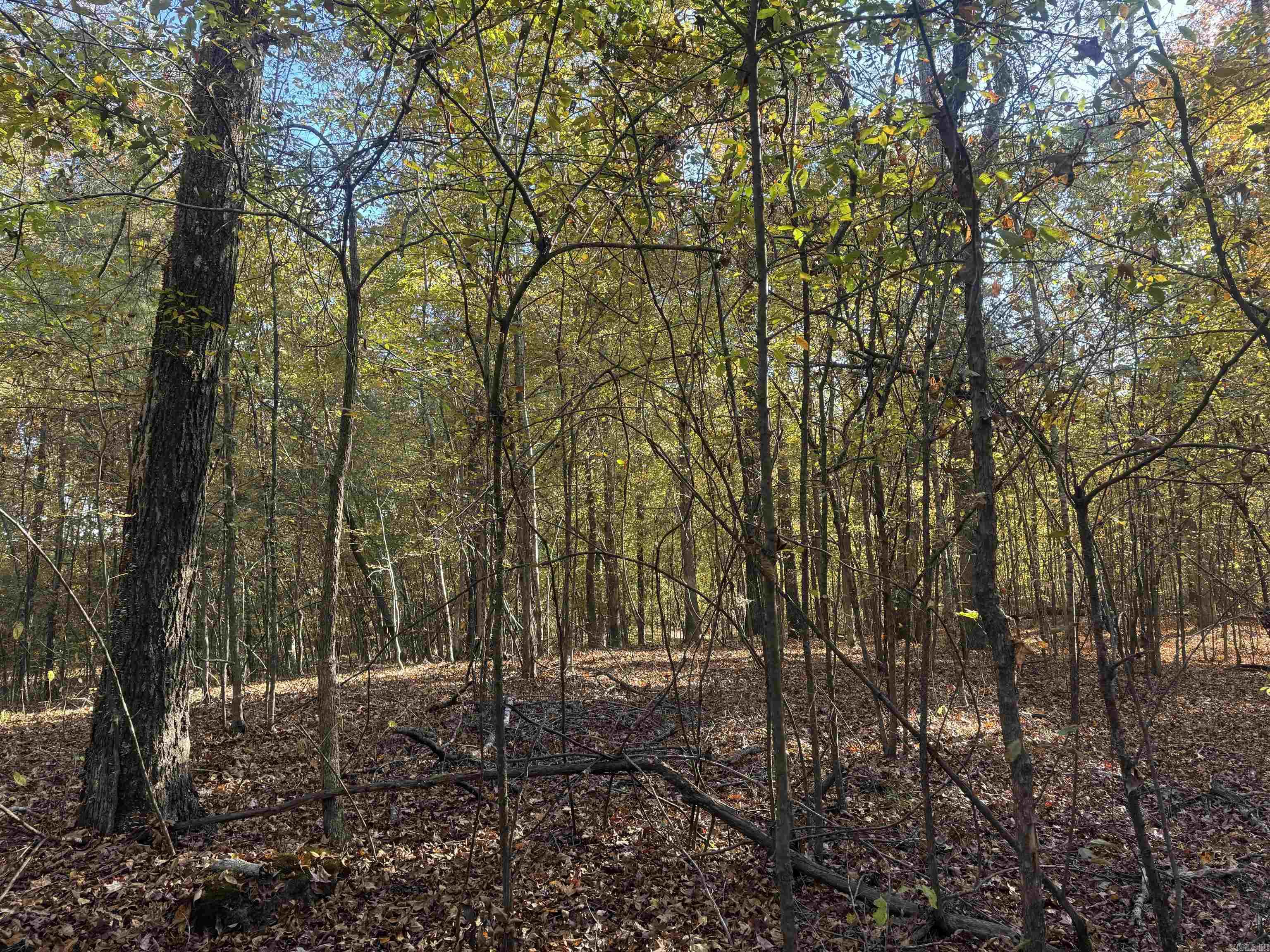 000 Sulpher Springs rd  Pine Bluff, AR