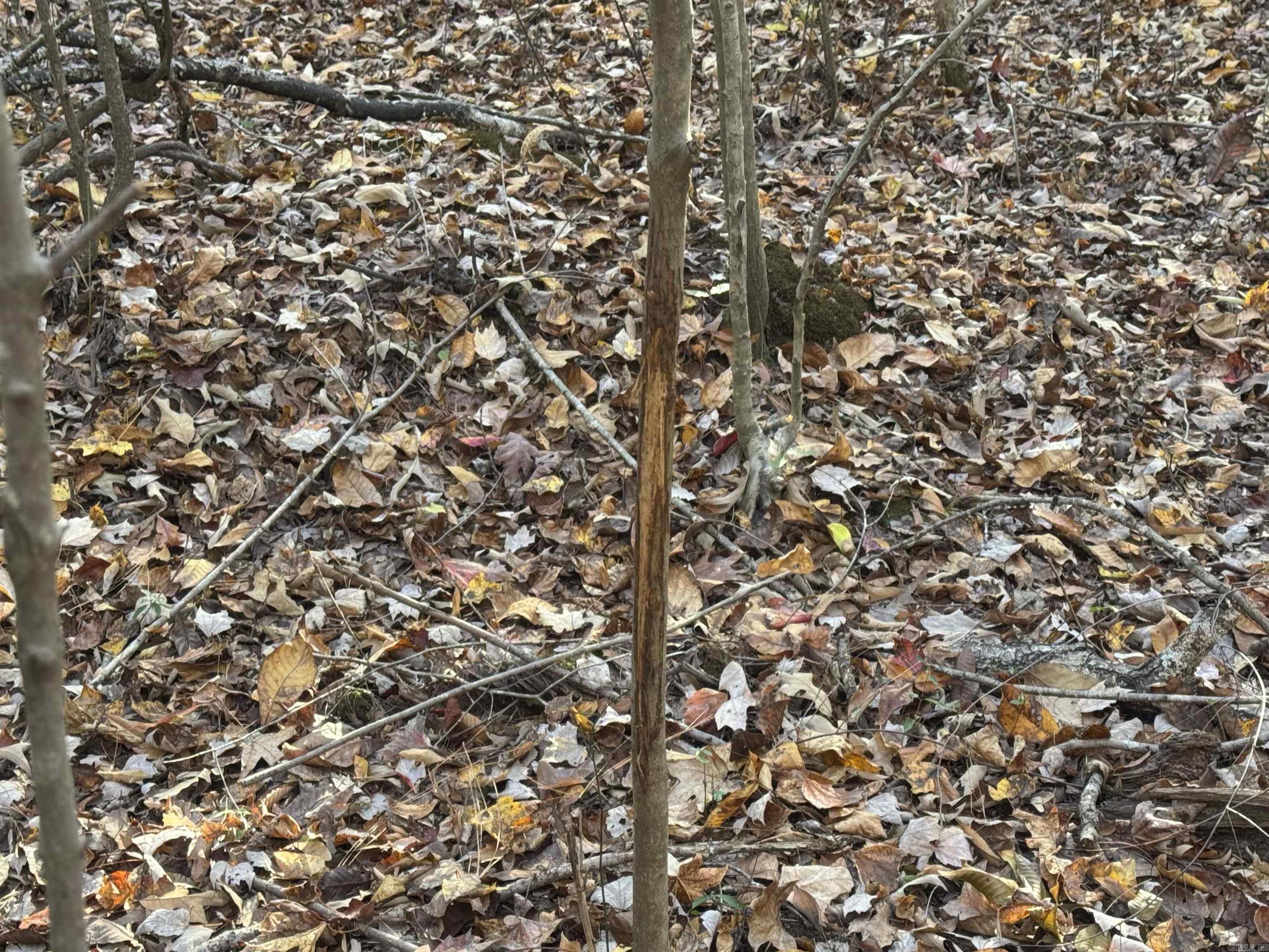 000 Sulpher Springs rd  Pine Bluff, AR