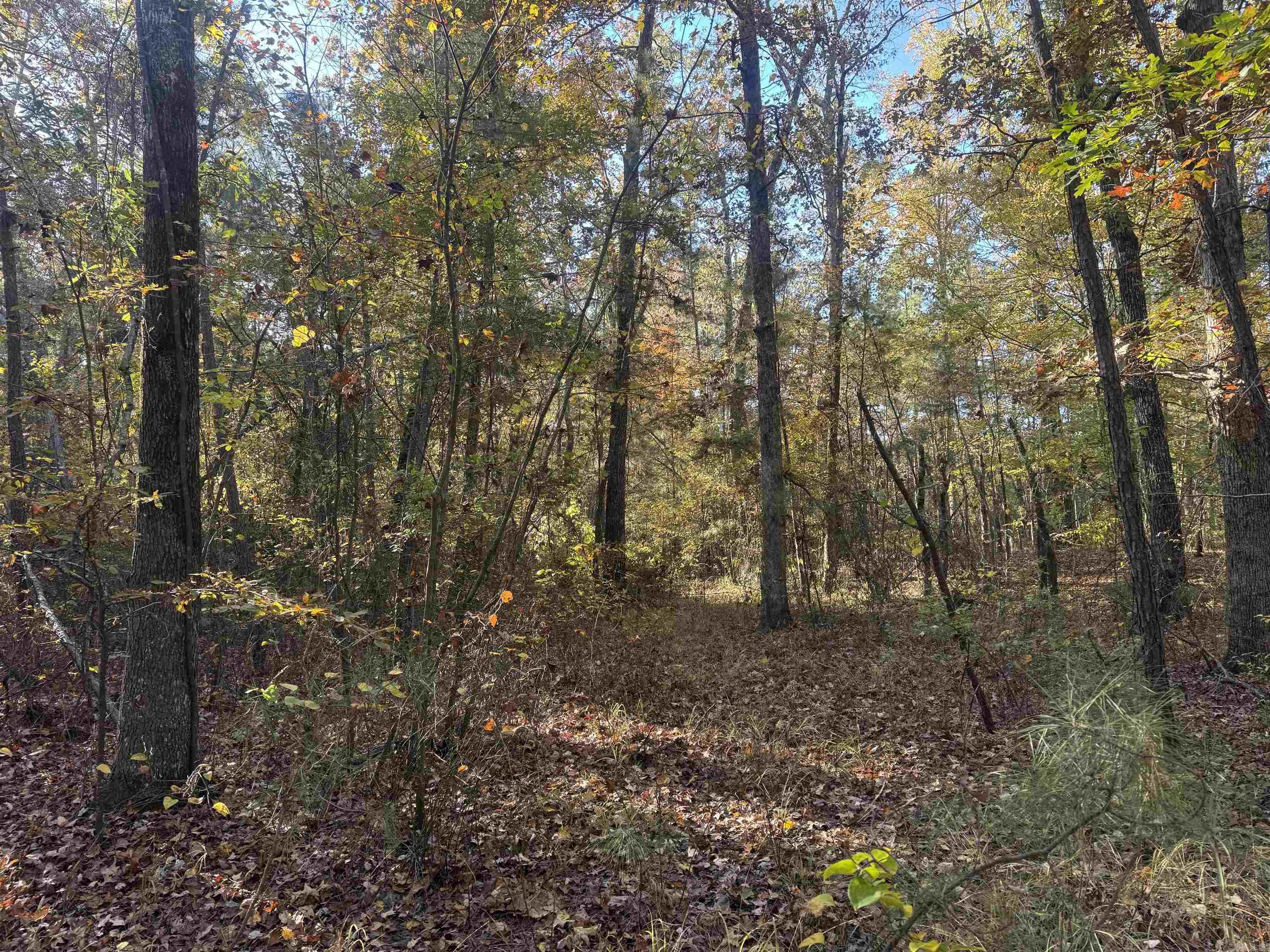 000 Sulpher Springs rd  Pine Bluff, AR