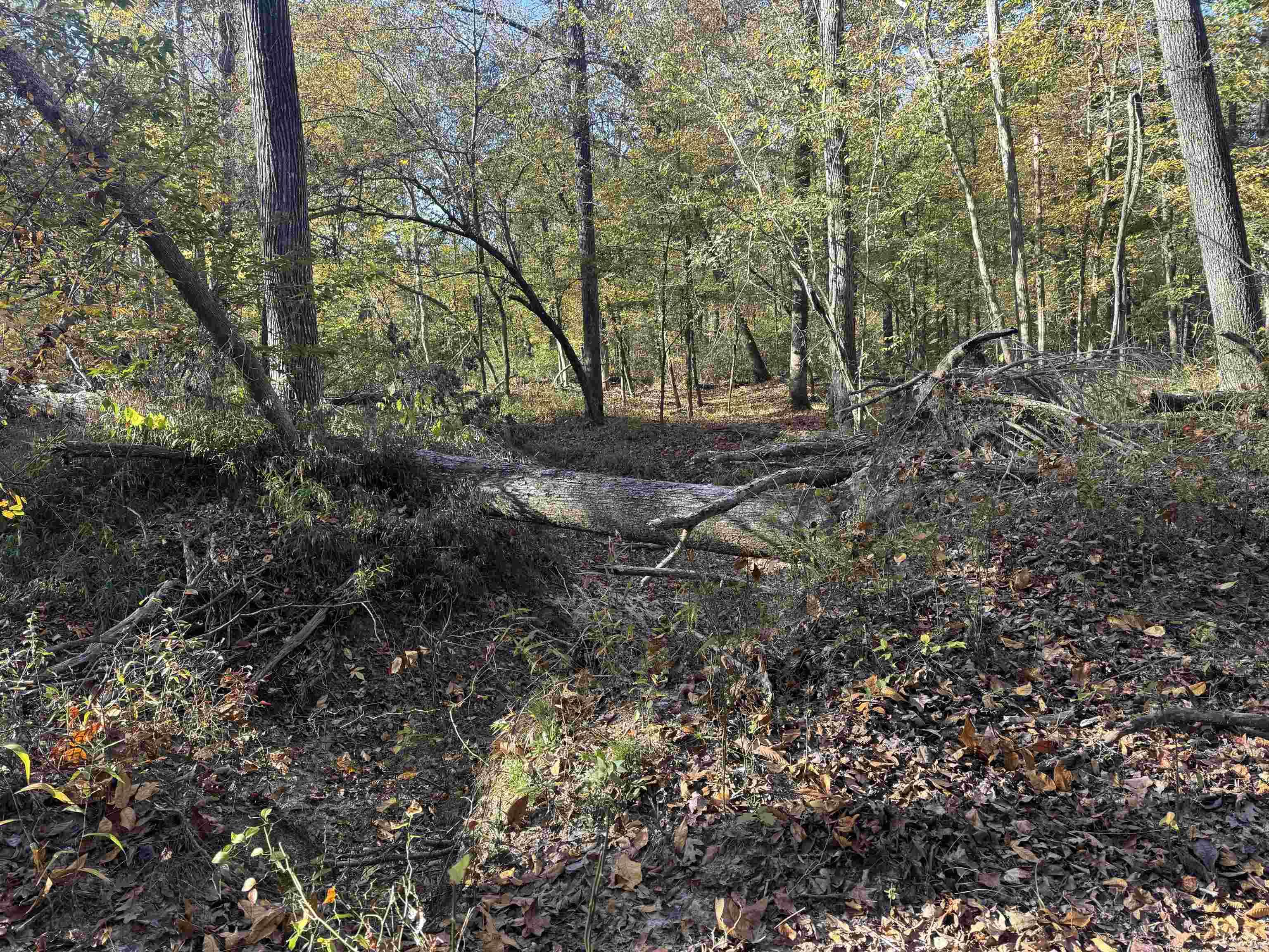 000 Sulpher Springs rd  Pine Bluff, AR