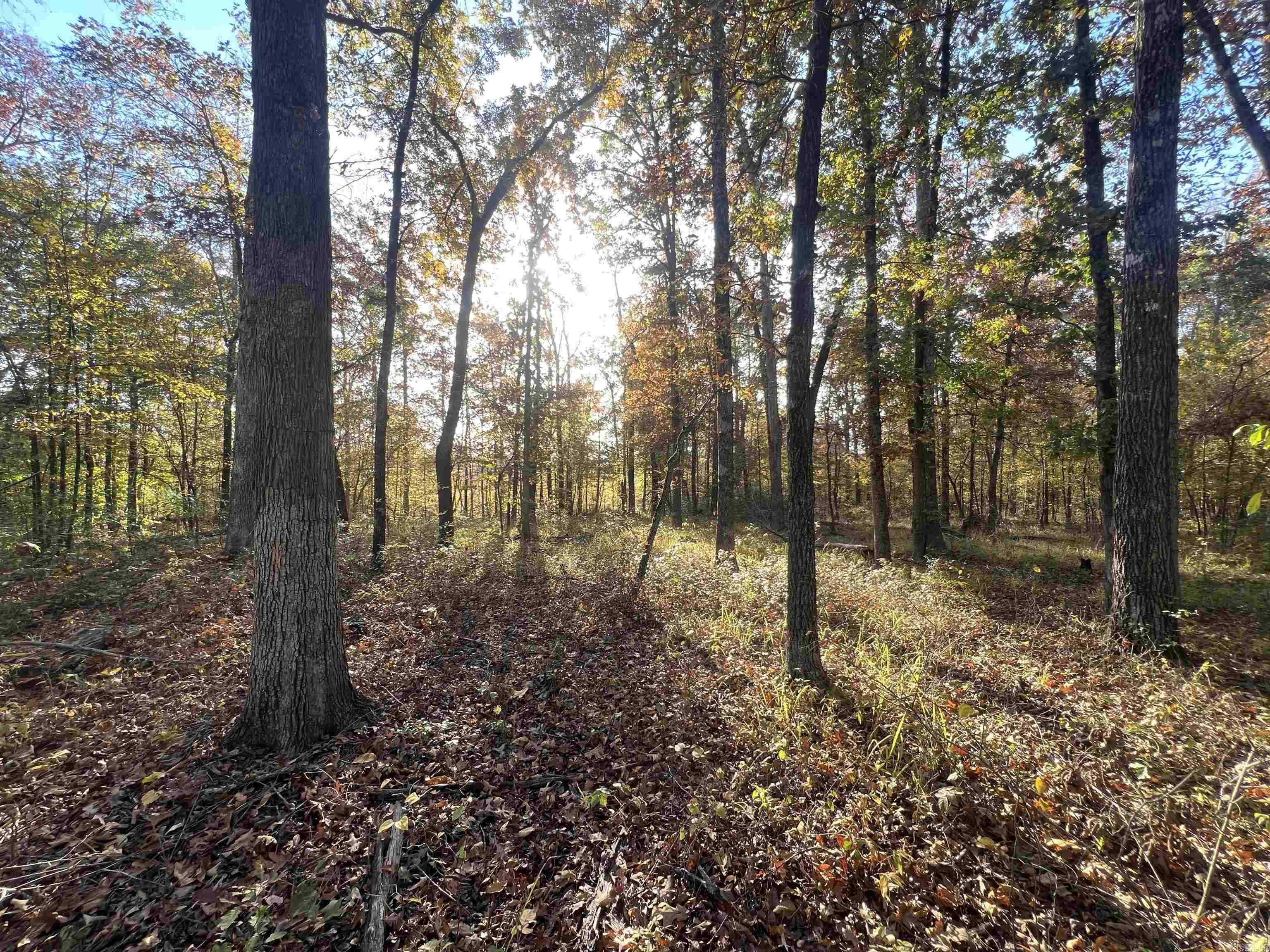 000 Sulpher Springs rd  Pine Bluff, AR