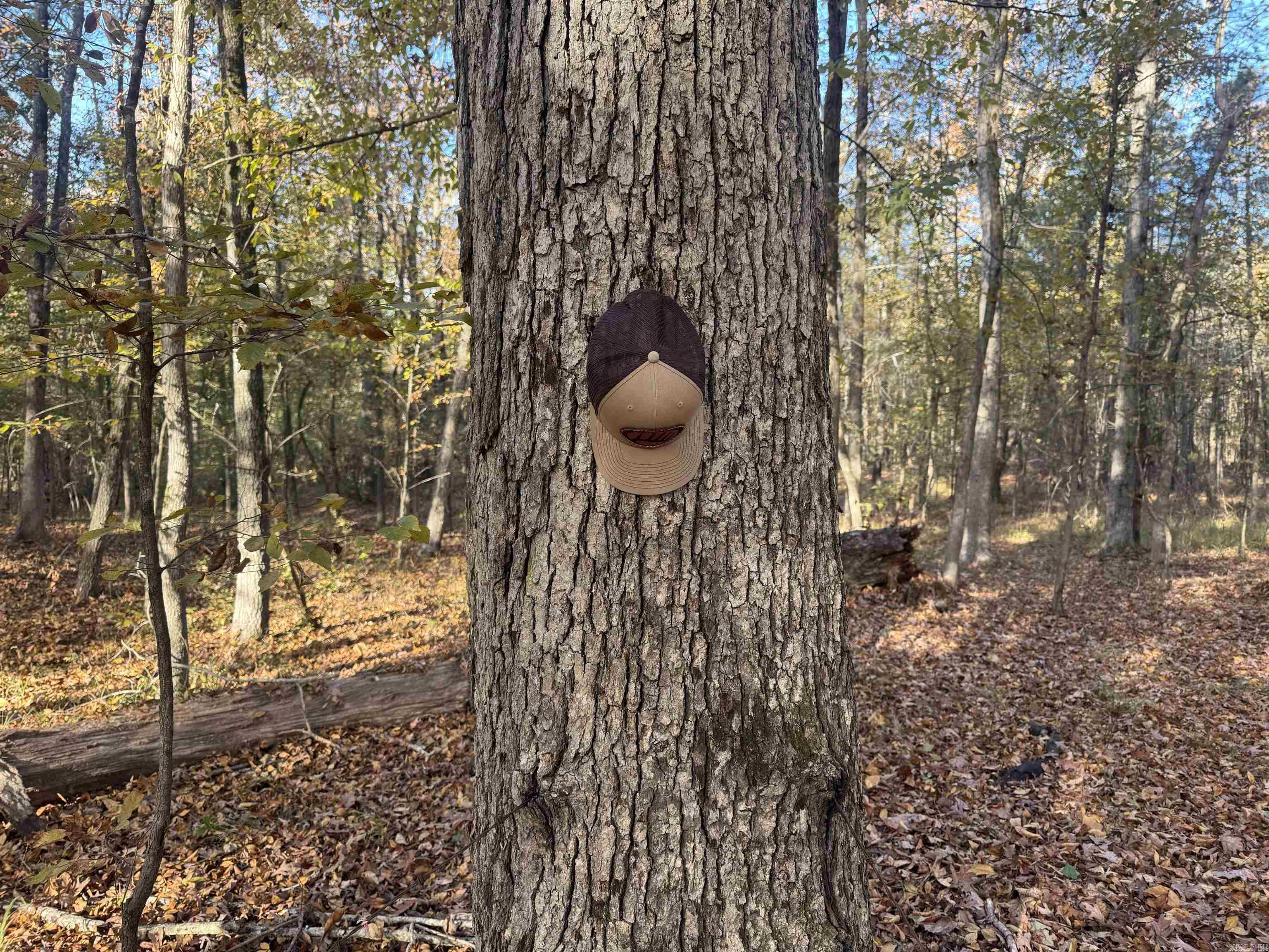 000 Sulpher Springs rd  Pine Bluff, AR