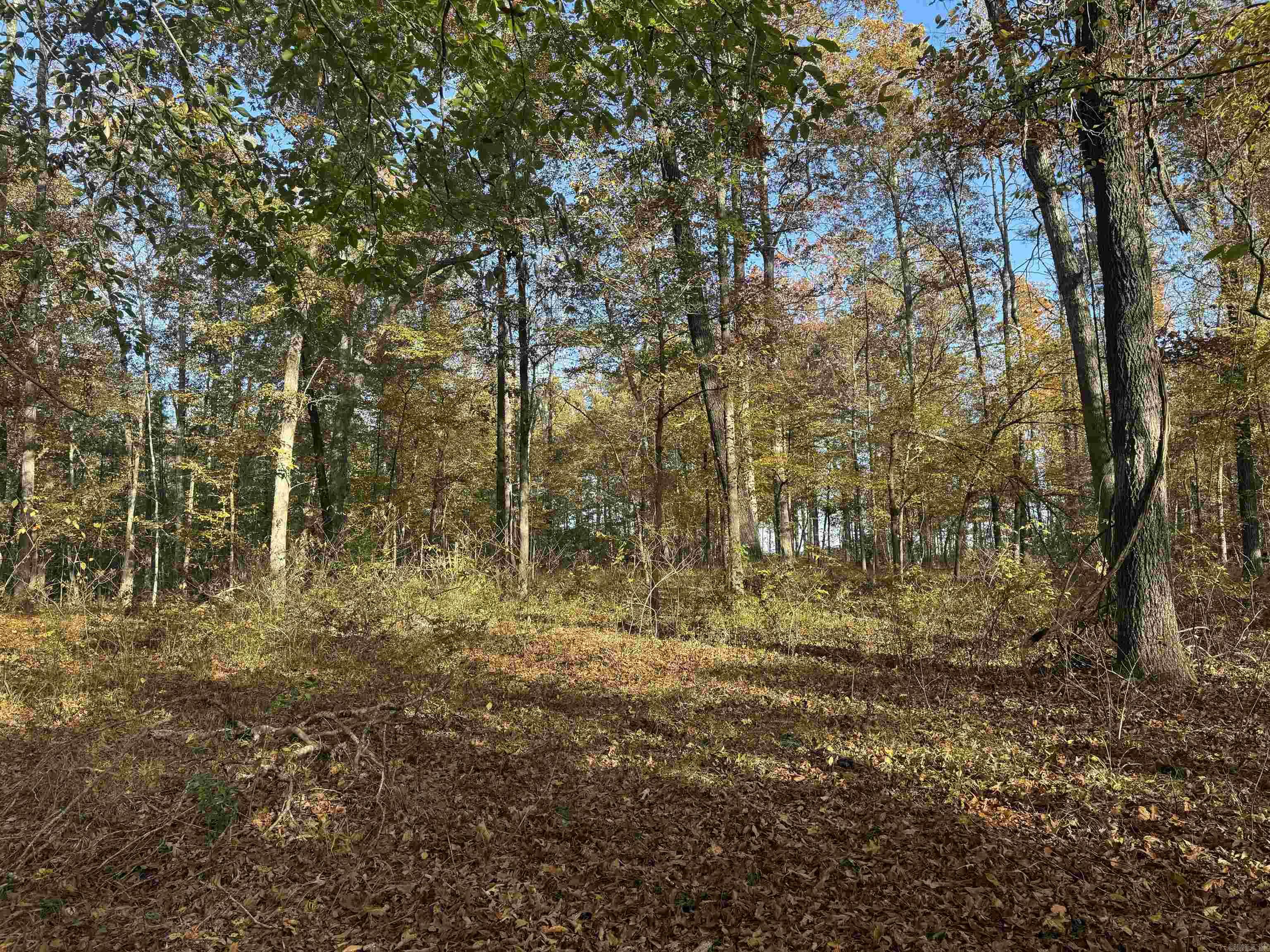 000 Sulpher Springs rd  Pine Bluff, AR