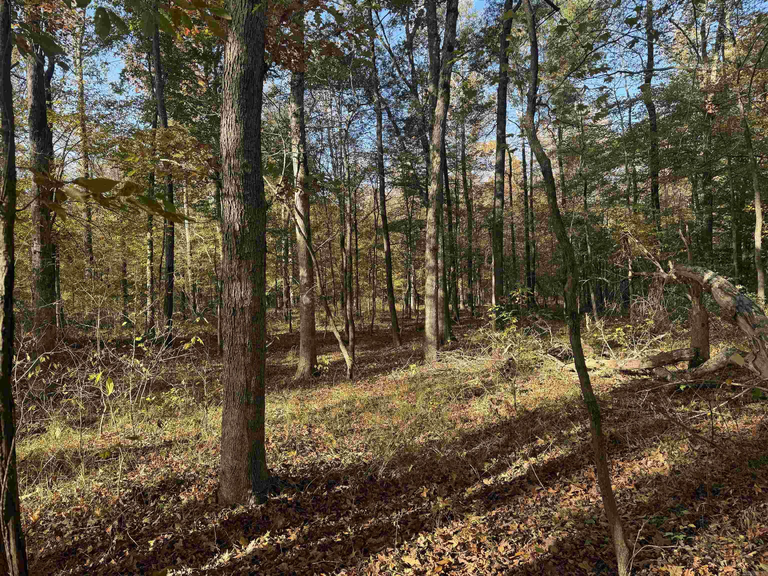 000 Sulpher Springs rd  Pine Bluff, AR