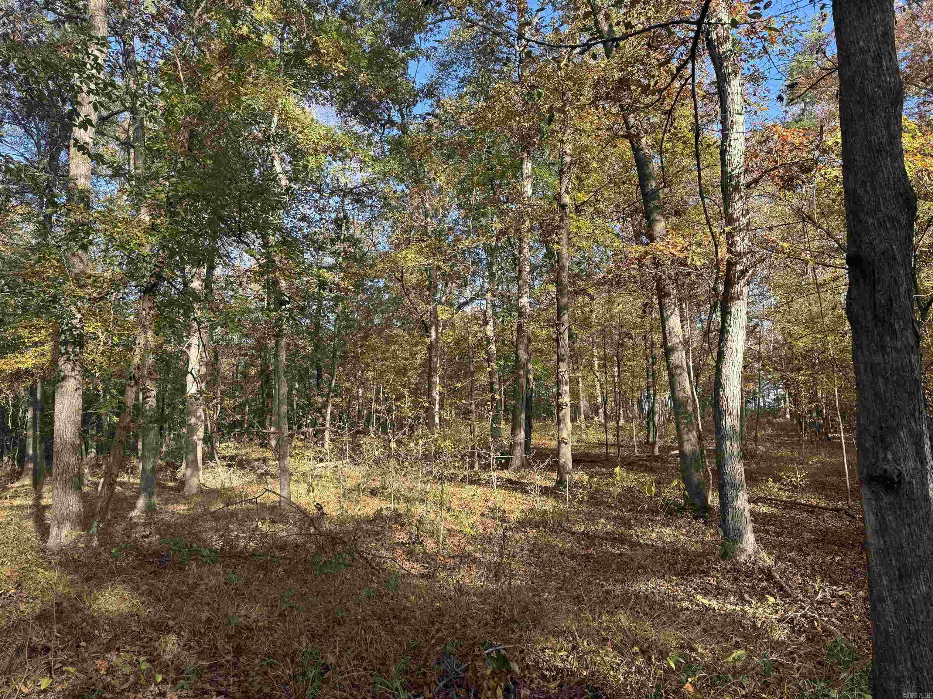 000 Sulpher Springs rd  Pine Bluff, AR