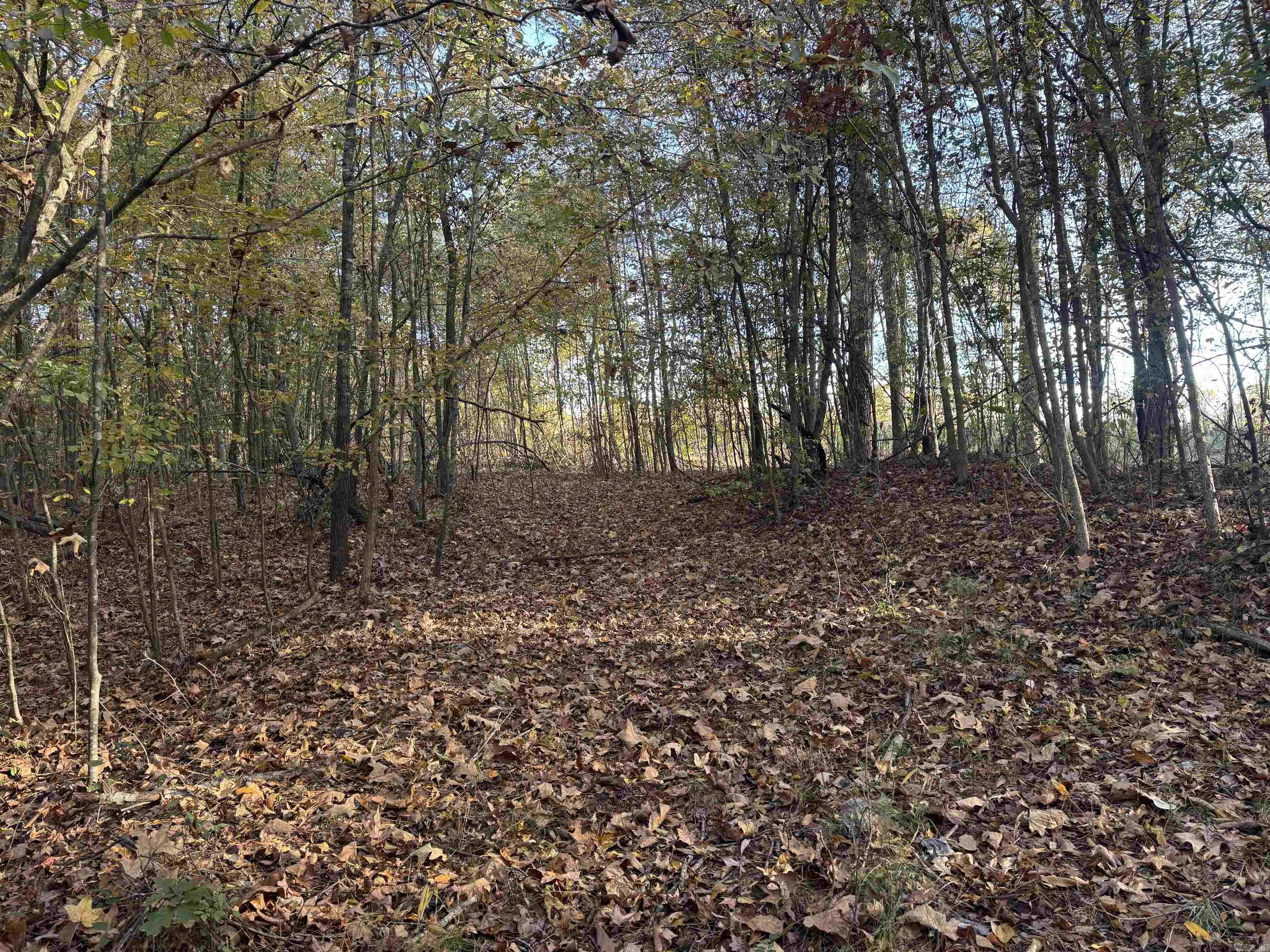 000 Sulpher Springs rd  Pine Bluff, AR