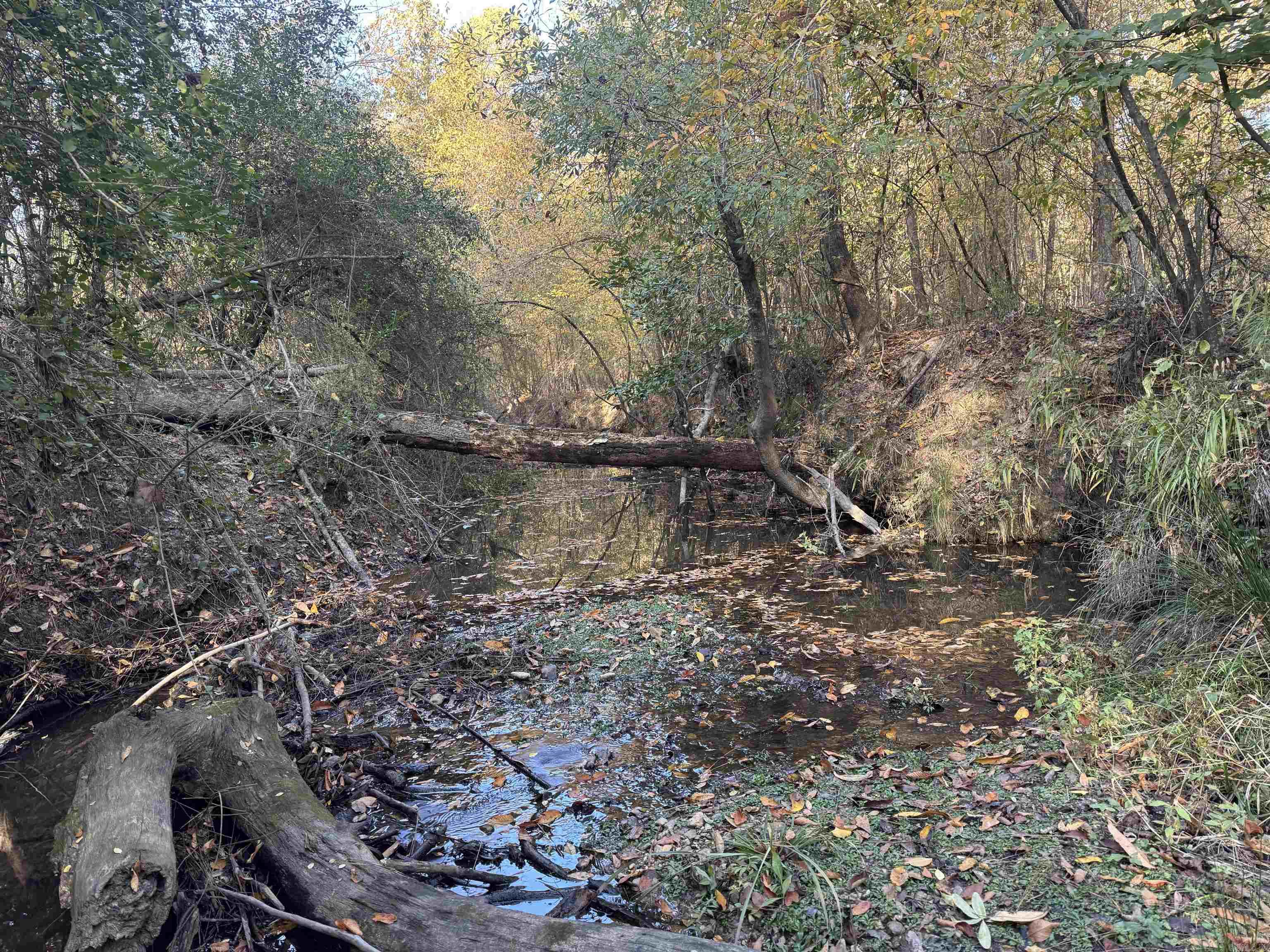 000 Sulpher Springs rd  Pine Bluff, AR