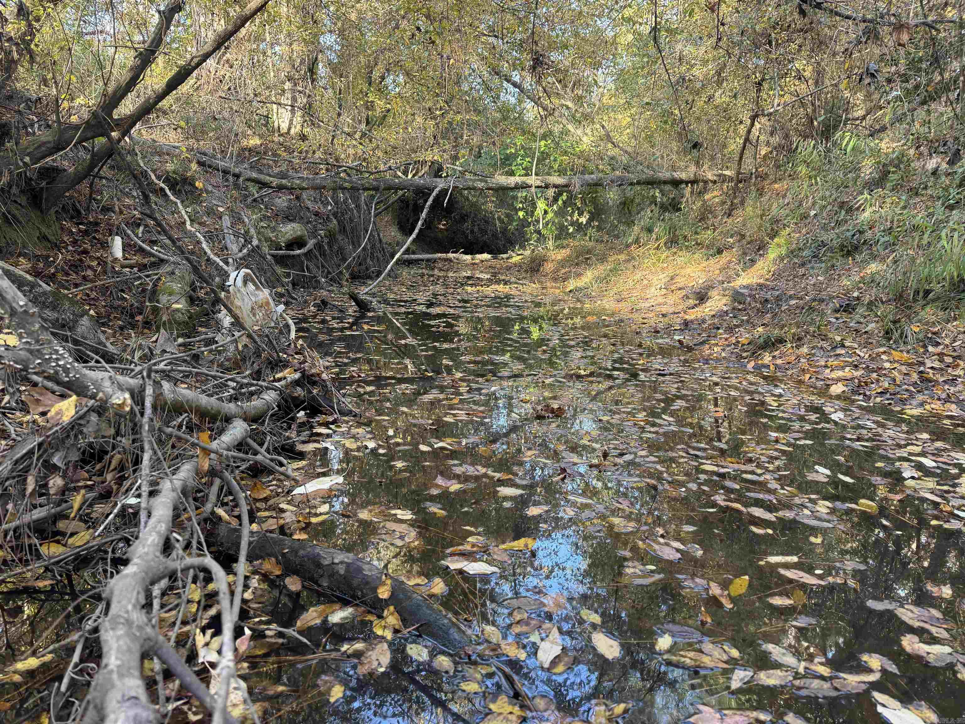 000 Sulpher Springs rd  Pine Bluff, AR