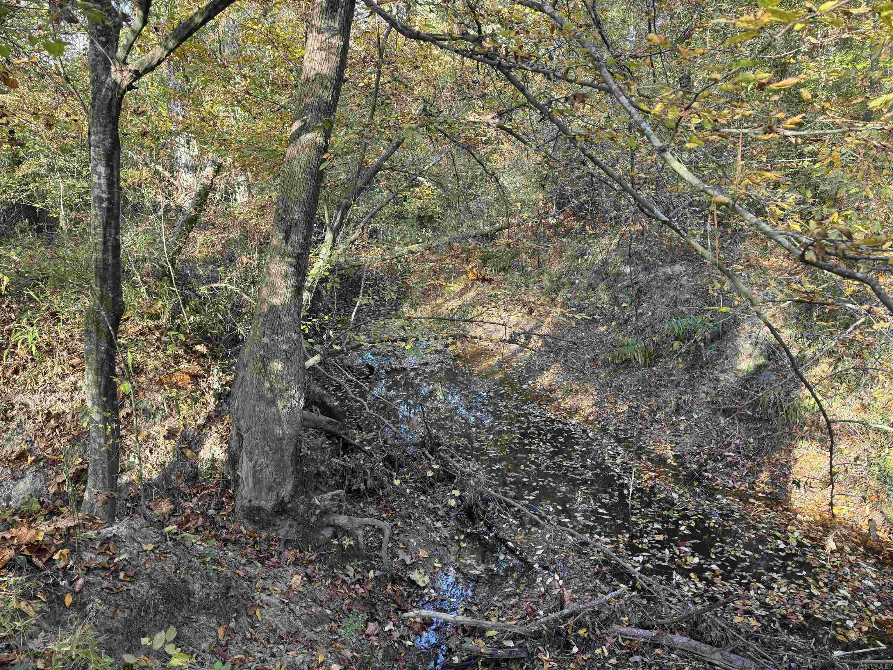 000 Sulpher Springs rd  Pine Bluff, AR