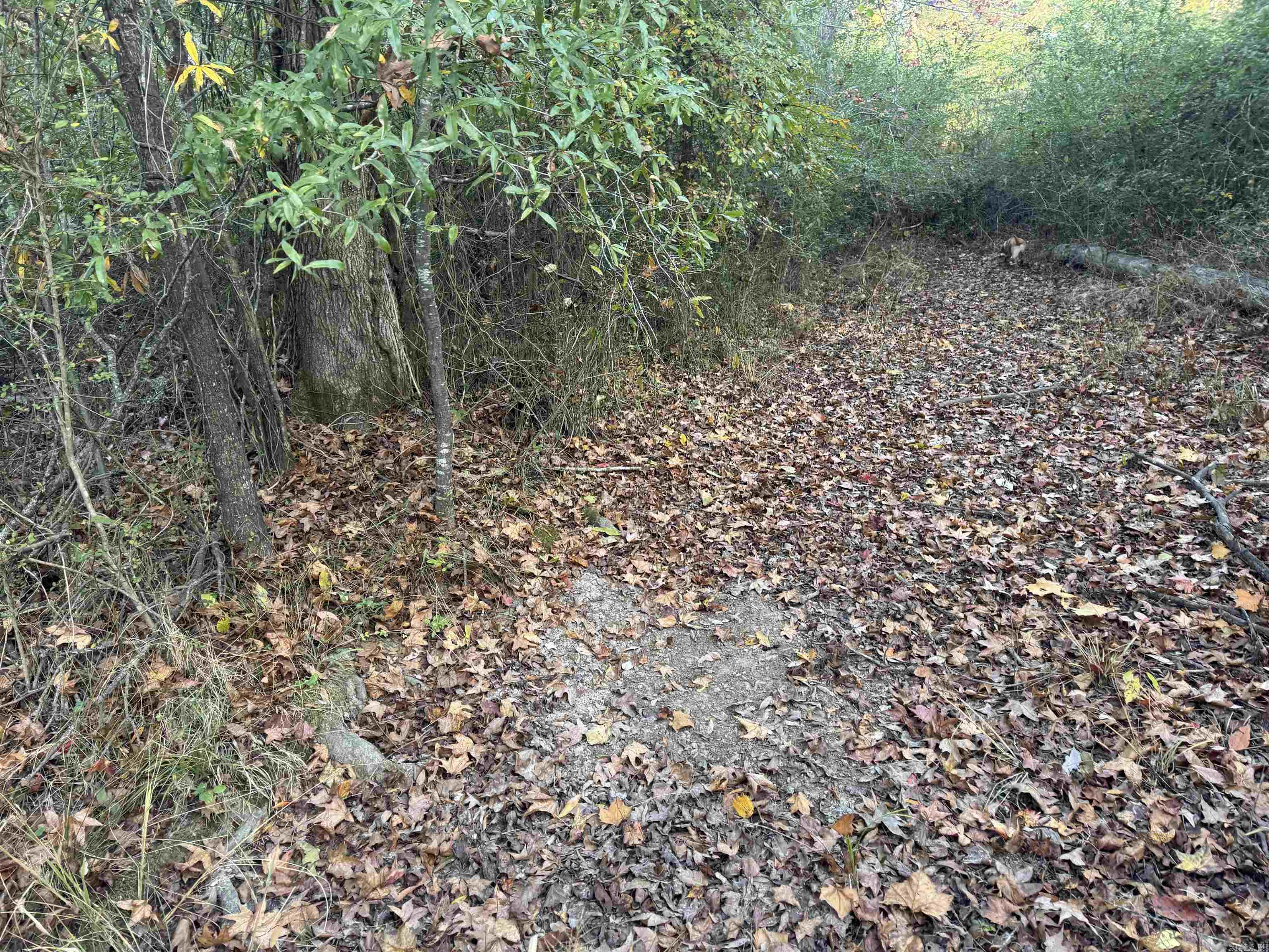 000 Sulpher Springs rd  Pine Bluff, AR