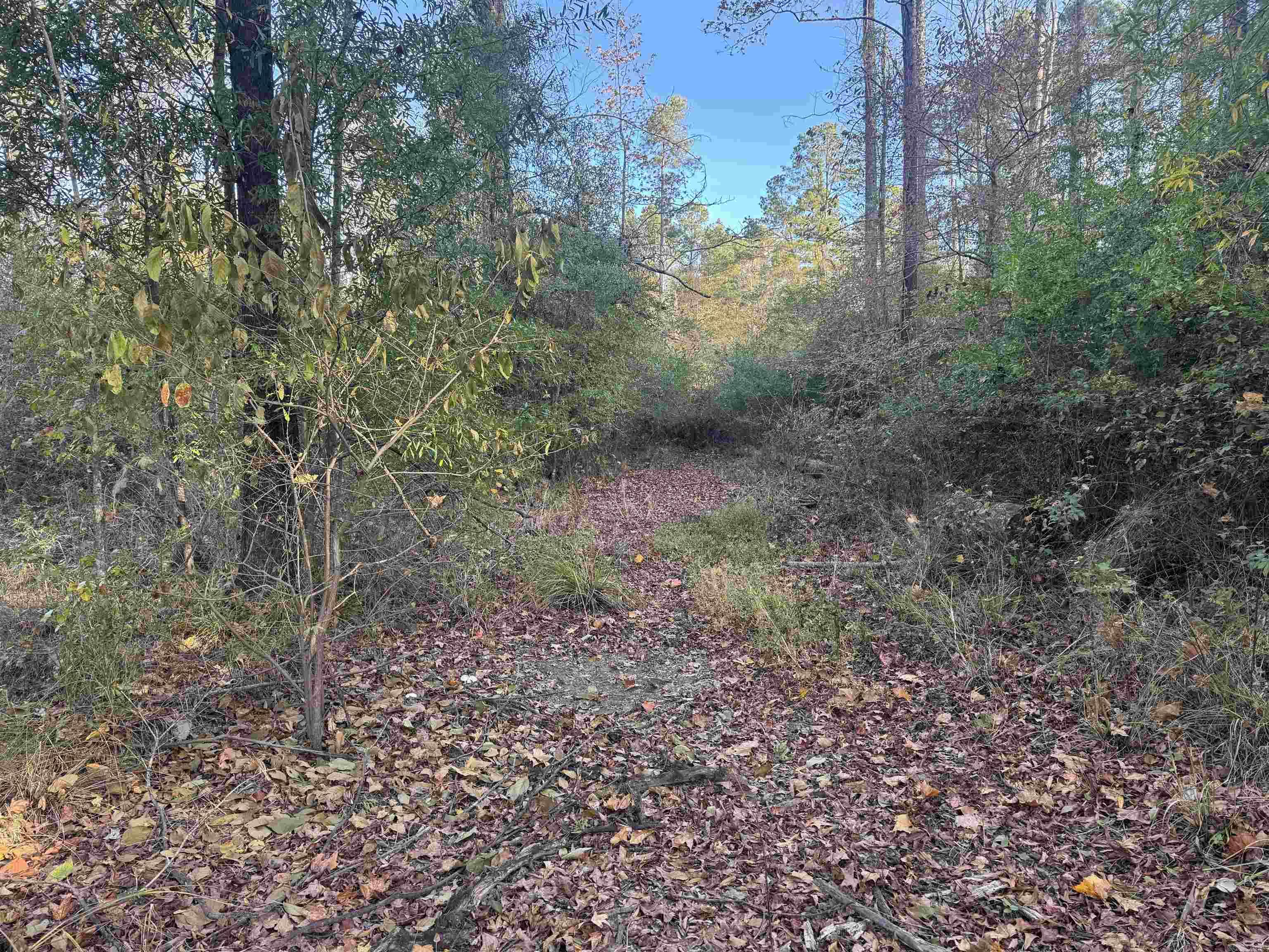 000 Sulpher Springs rd  Pine Bluff, AR