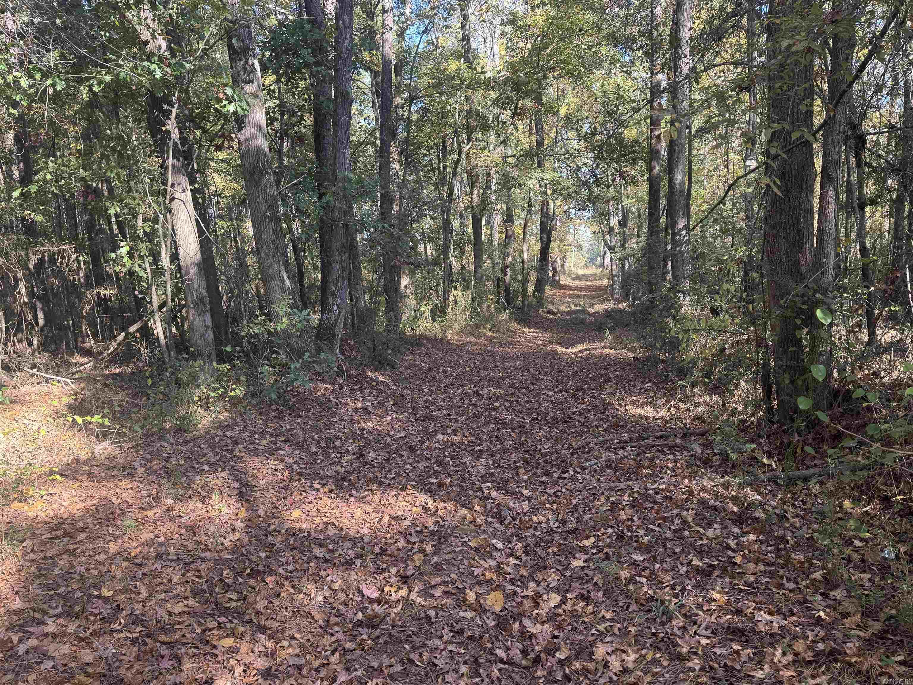 000 Sulpher Springs rd  Pine Bluff, AR