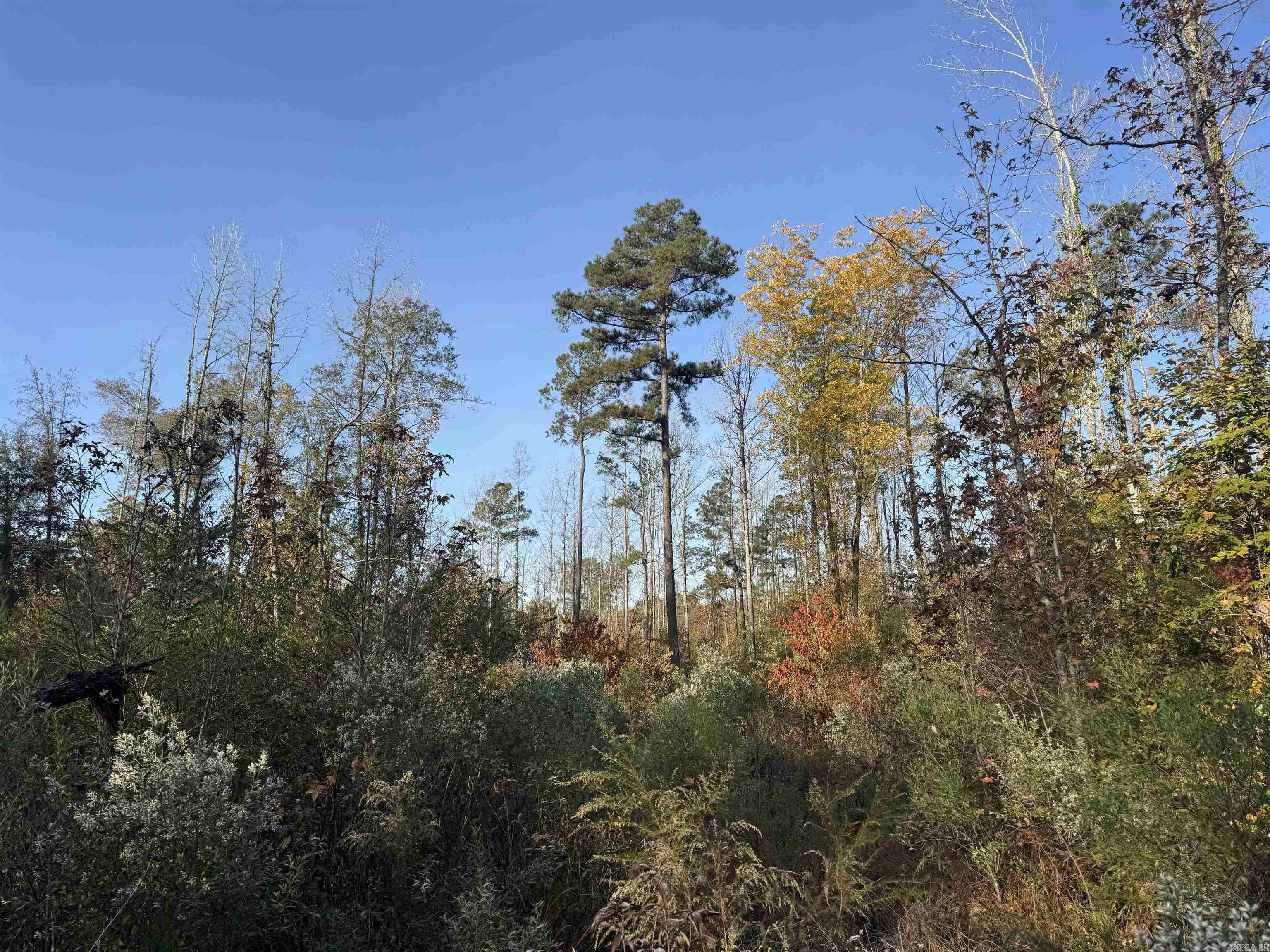 000 Sulpher Springs rd  Pine Bluff, AR