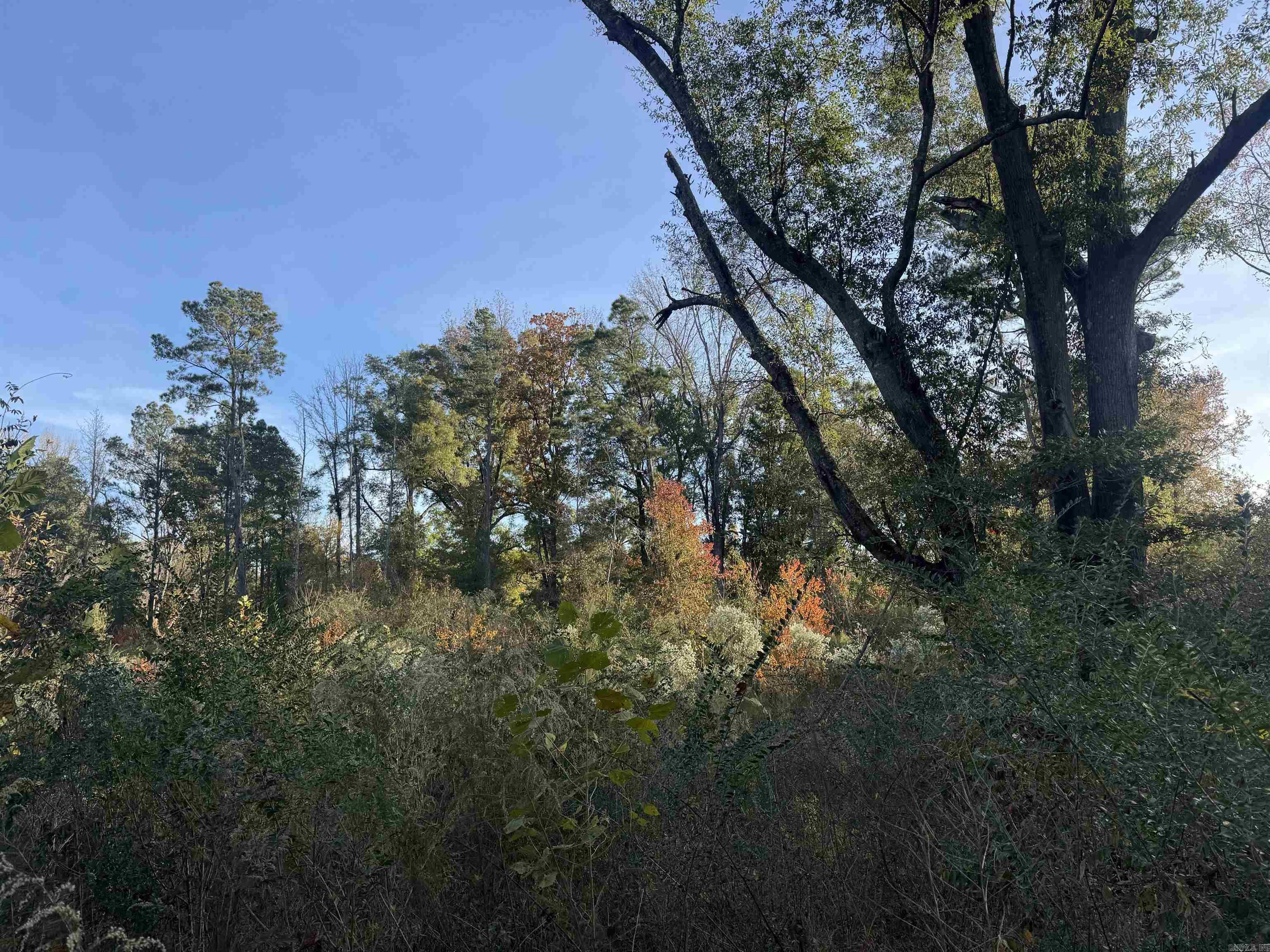 000 Sulpher Springs rd  Pine Bluff, AR