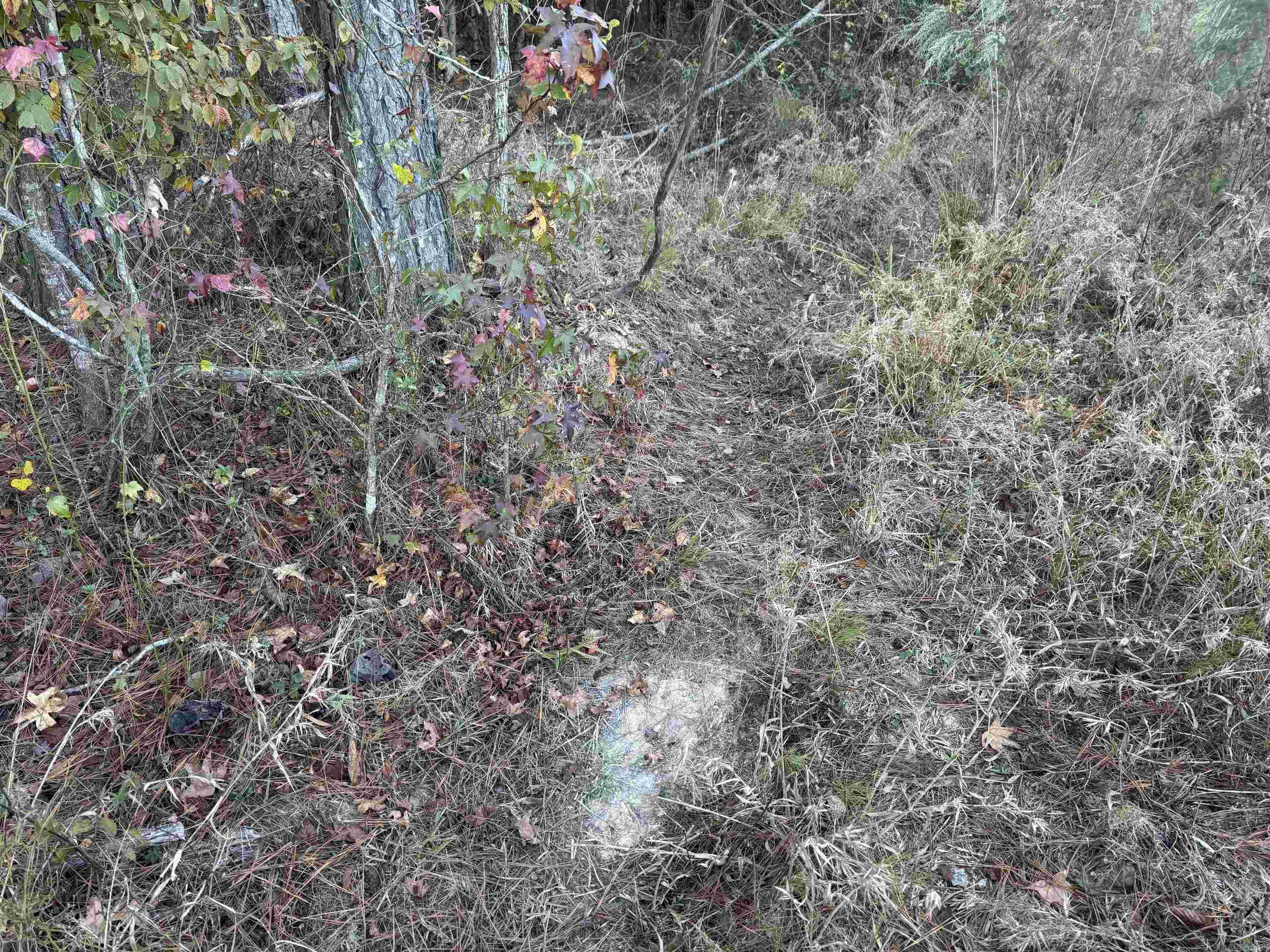 000 Sulpher Springs rd  Pine Bluff, AR