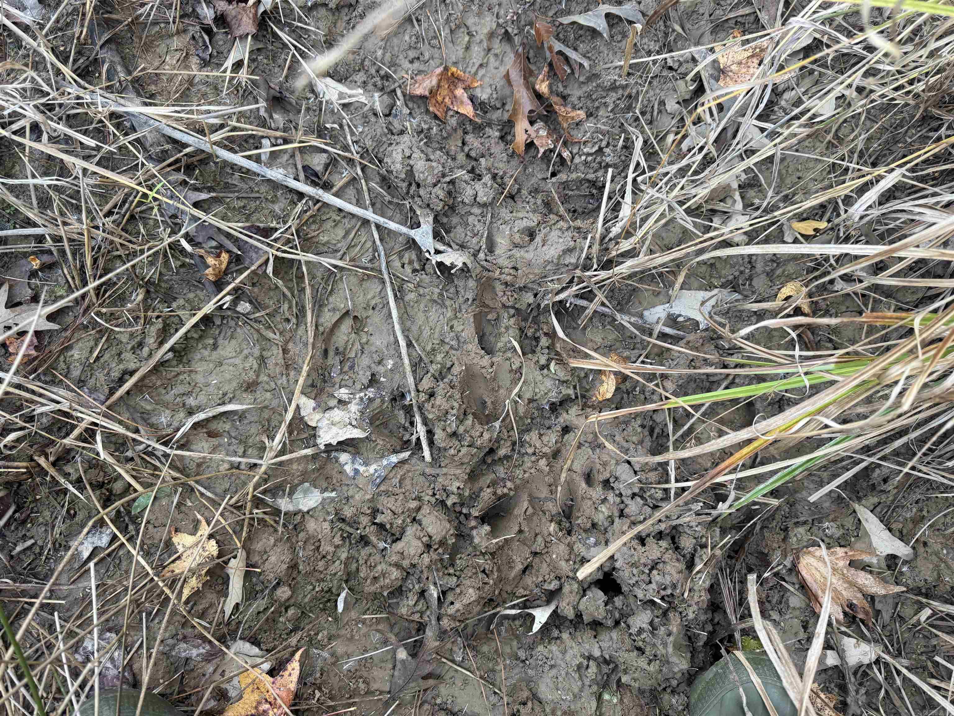 000 Sulpher Springs rd  Pine Bluff, AR