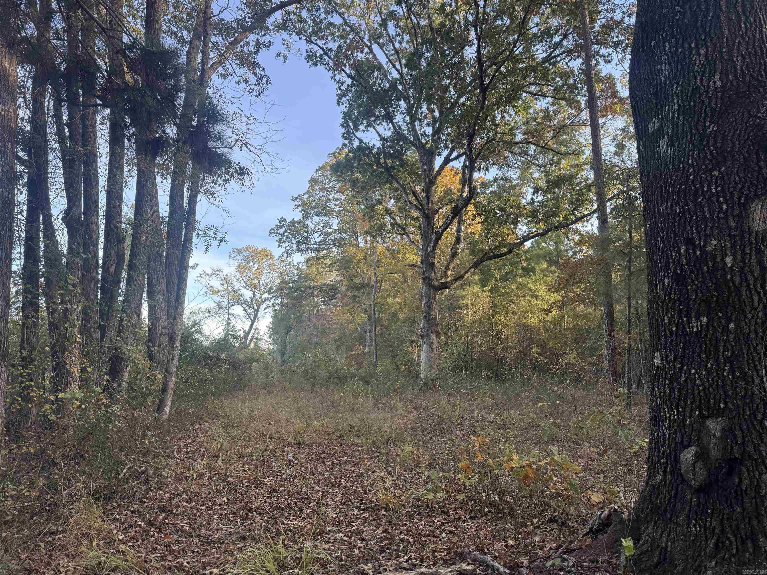 000 Sulpher Springs rd  Pine Bluff, AR