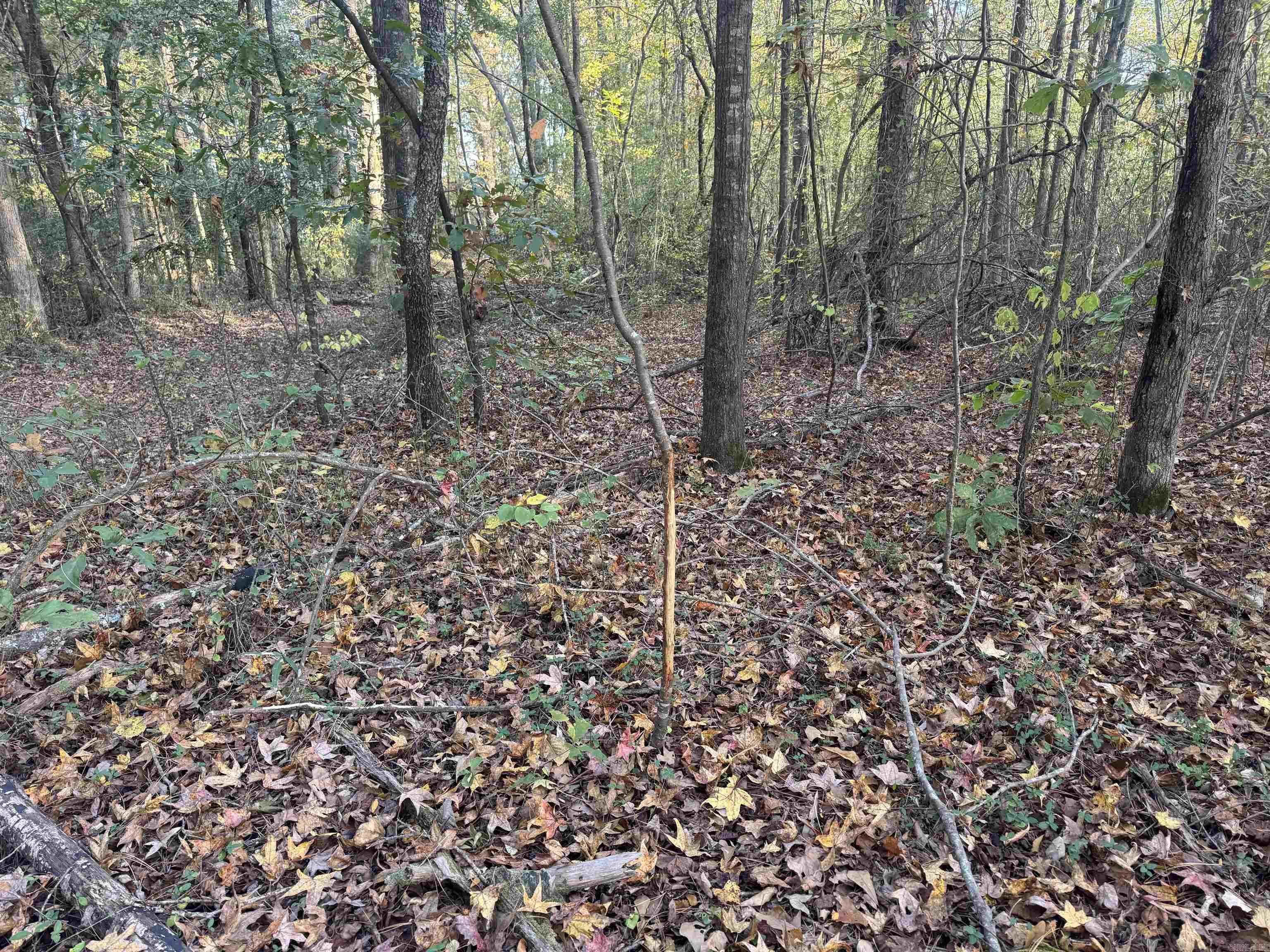 000 Sulpher Springs rd  Pine Bluff, AR