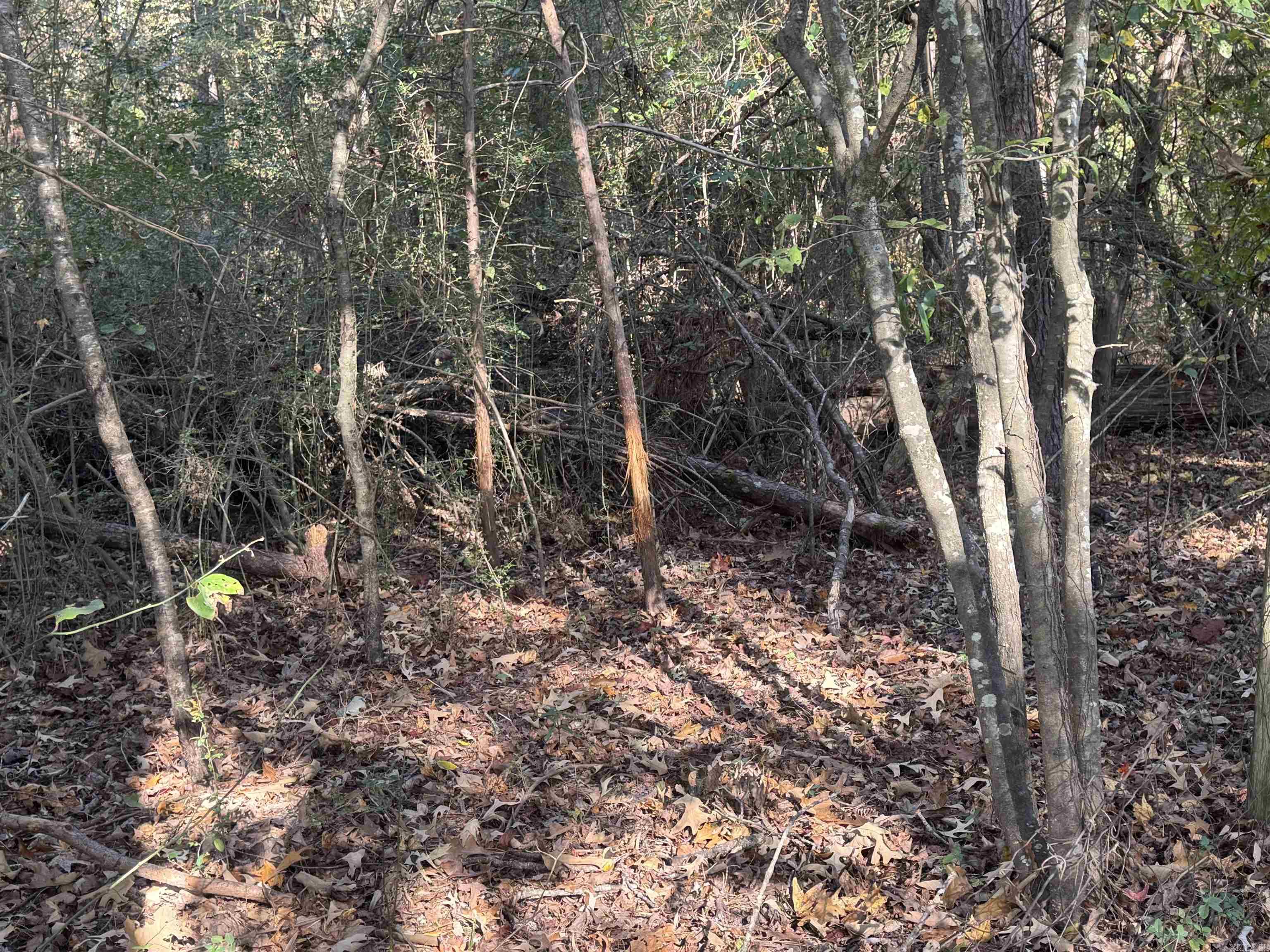 000 Sulpher Springs rd  Pine Bluff, AR