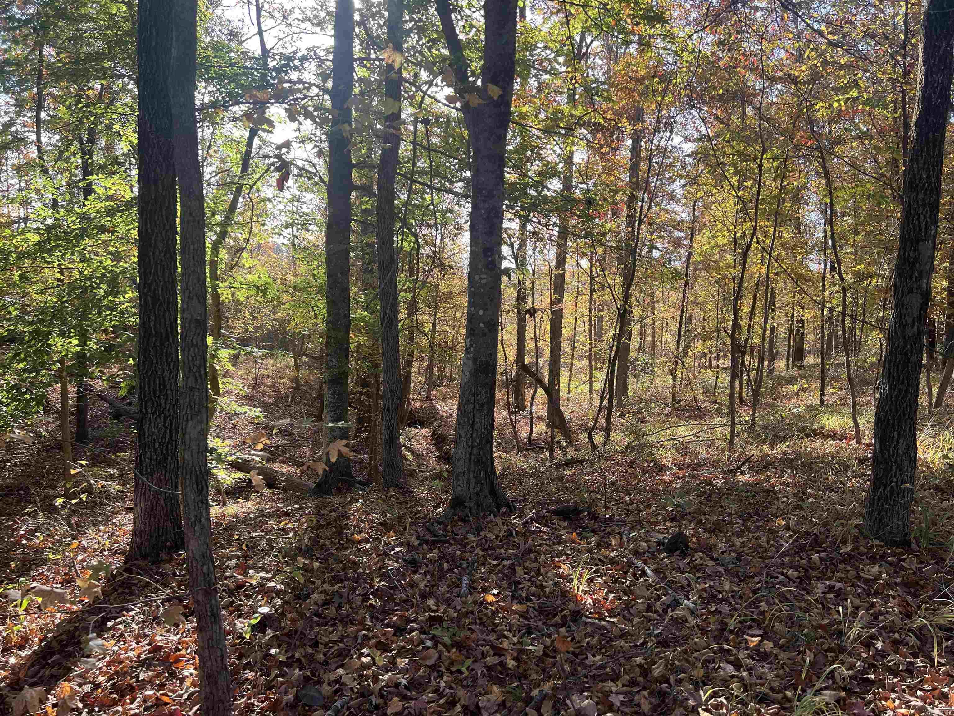 000 Sulpher Springs rd  Pine Bluff, AR