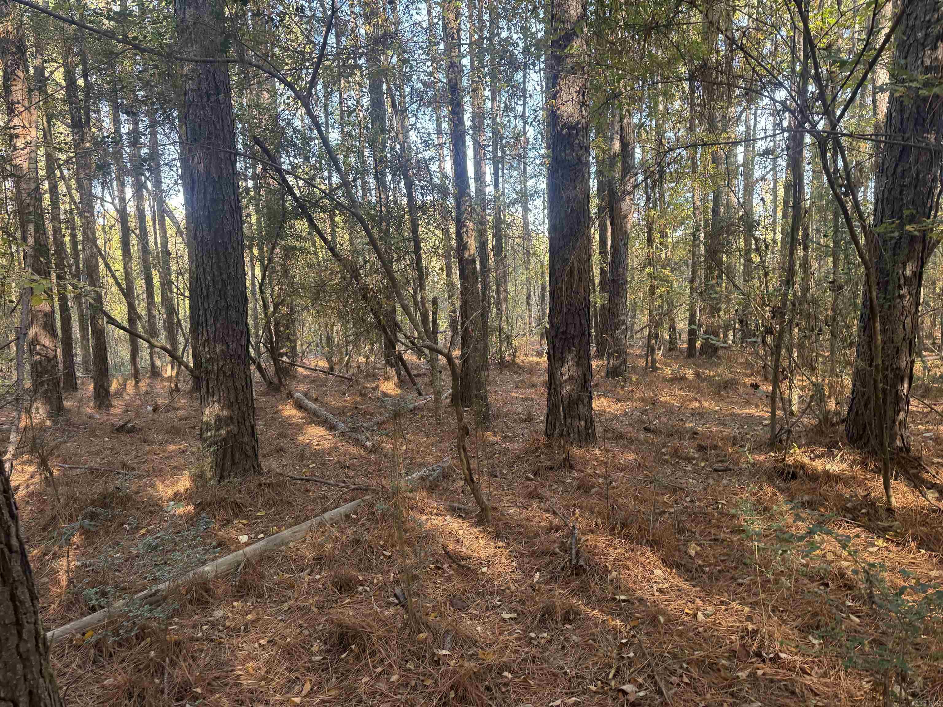 000 Sulpher Springs rd  Pine Bluff, AR