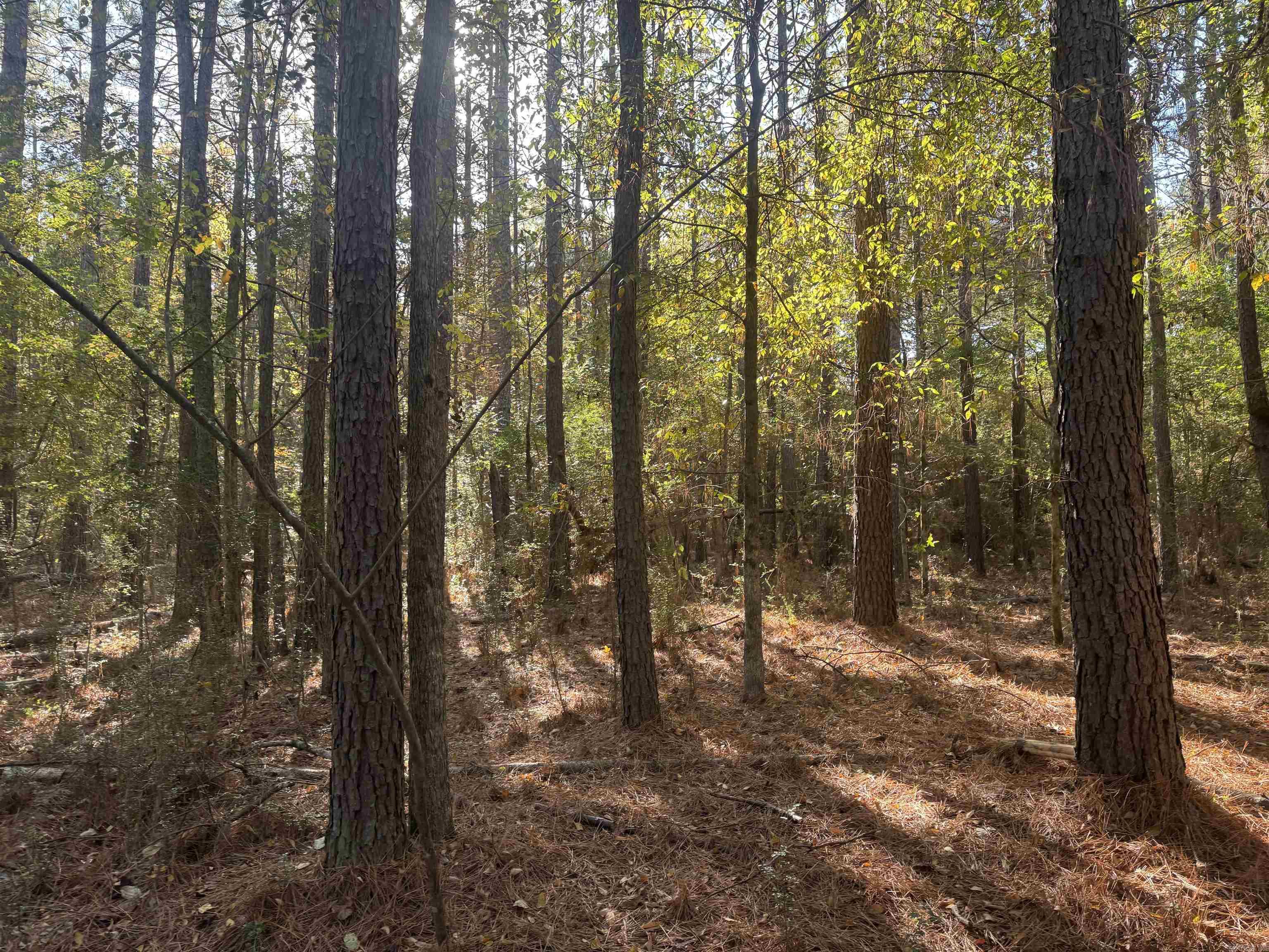 000 Sulpher Springs rd  Pine Bluff, AR