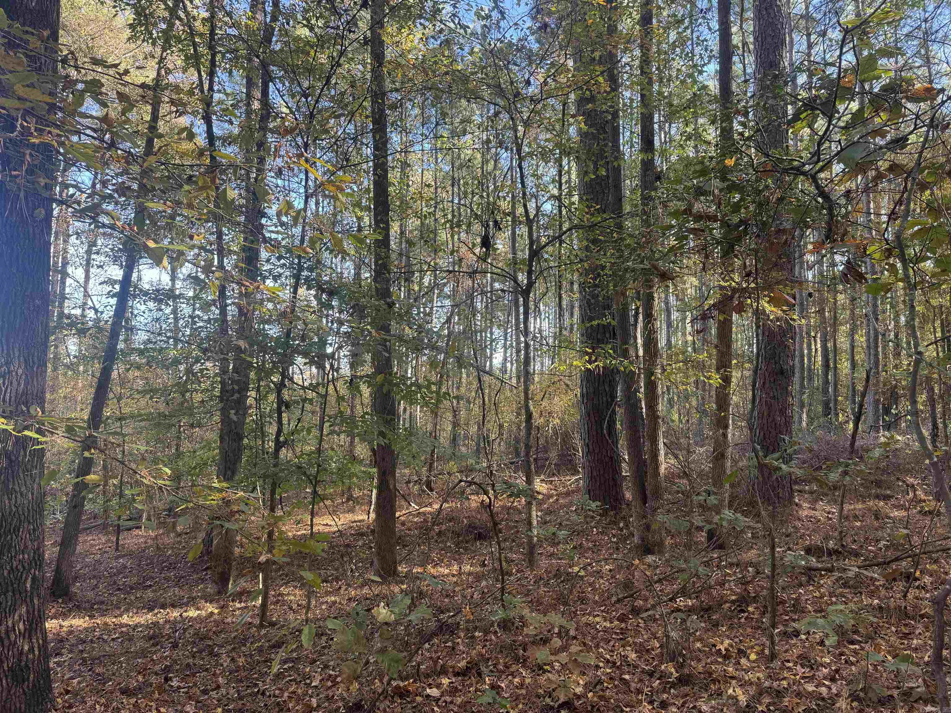 000 Sulpher Springs rd  Pine Bluff, AR