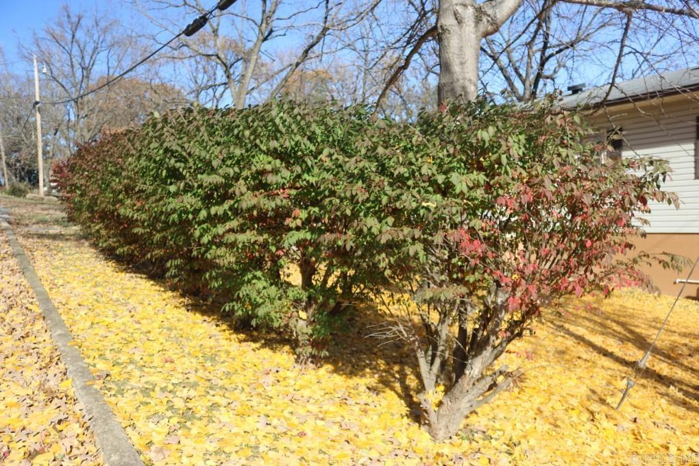 511 S Ash  Harrison, AR