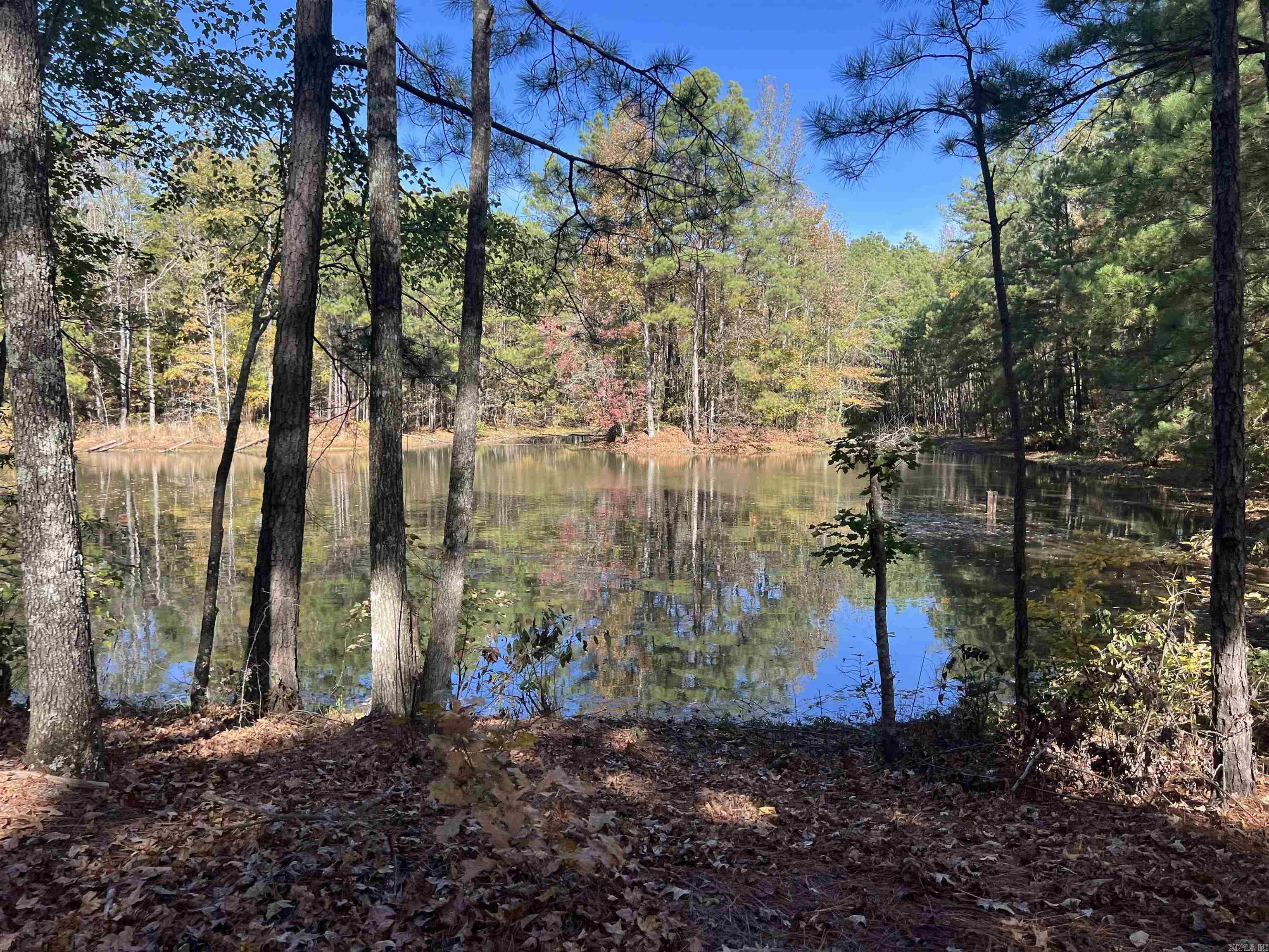 10875 Highway 133  Pine Bluff, AR