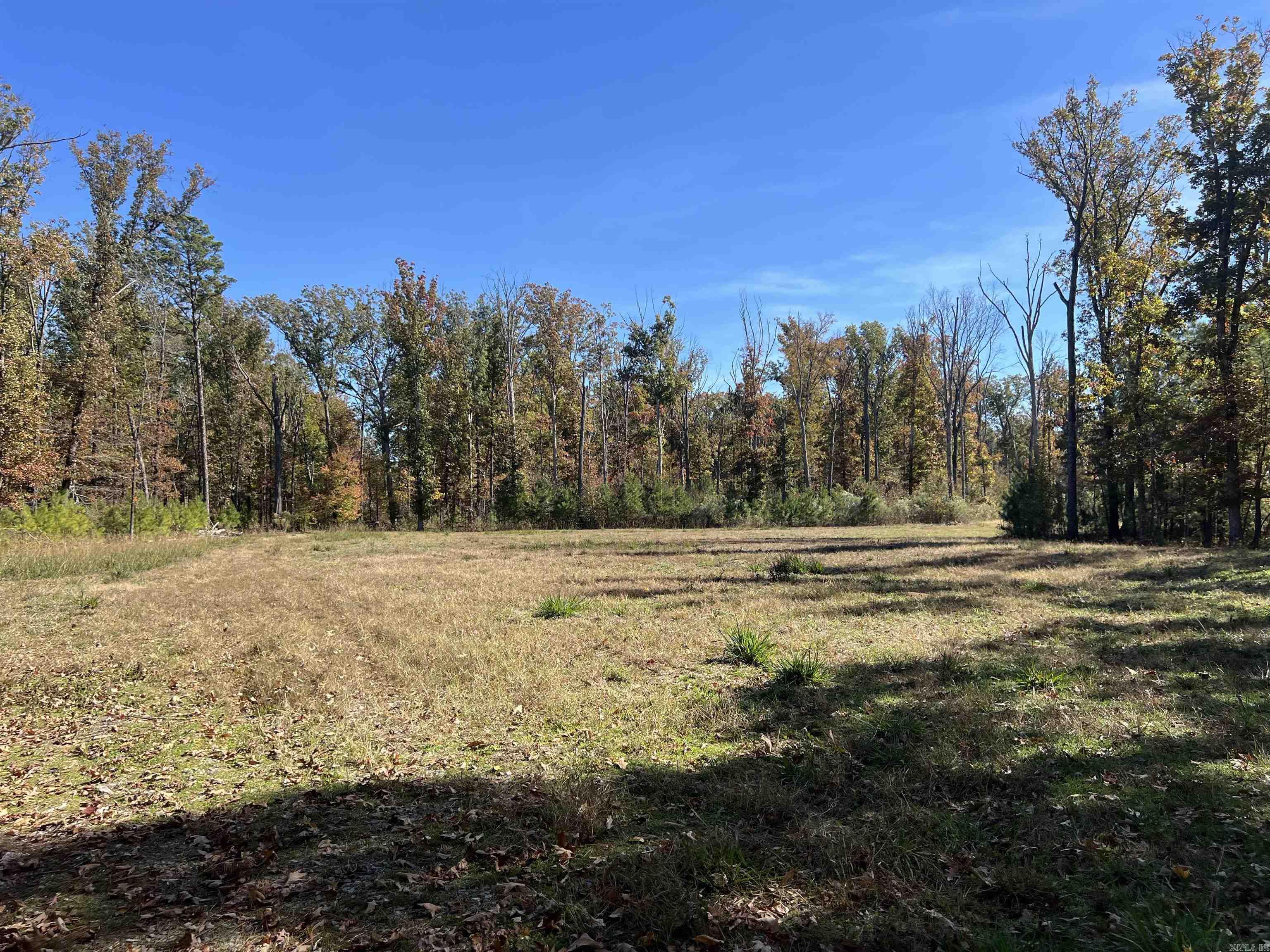 10875 Highway 133  Pine Bluff, AR