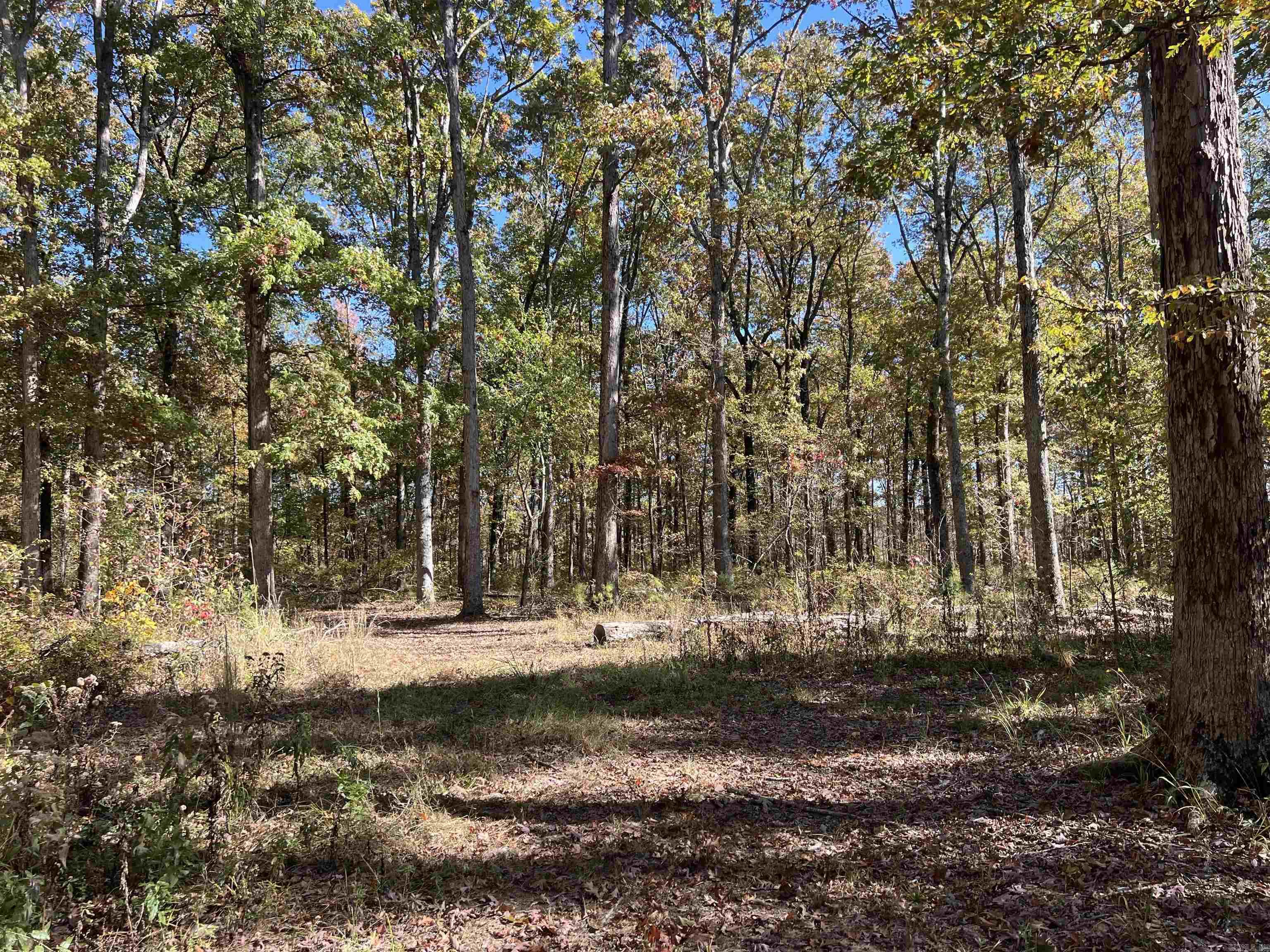 10875 Highway 133  Pine Bluff, AR