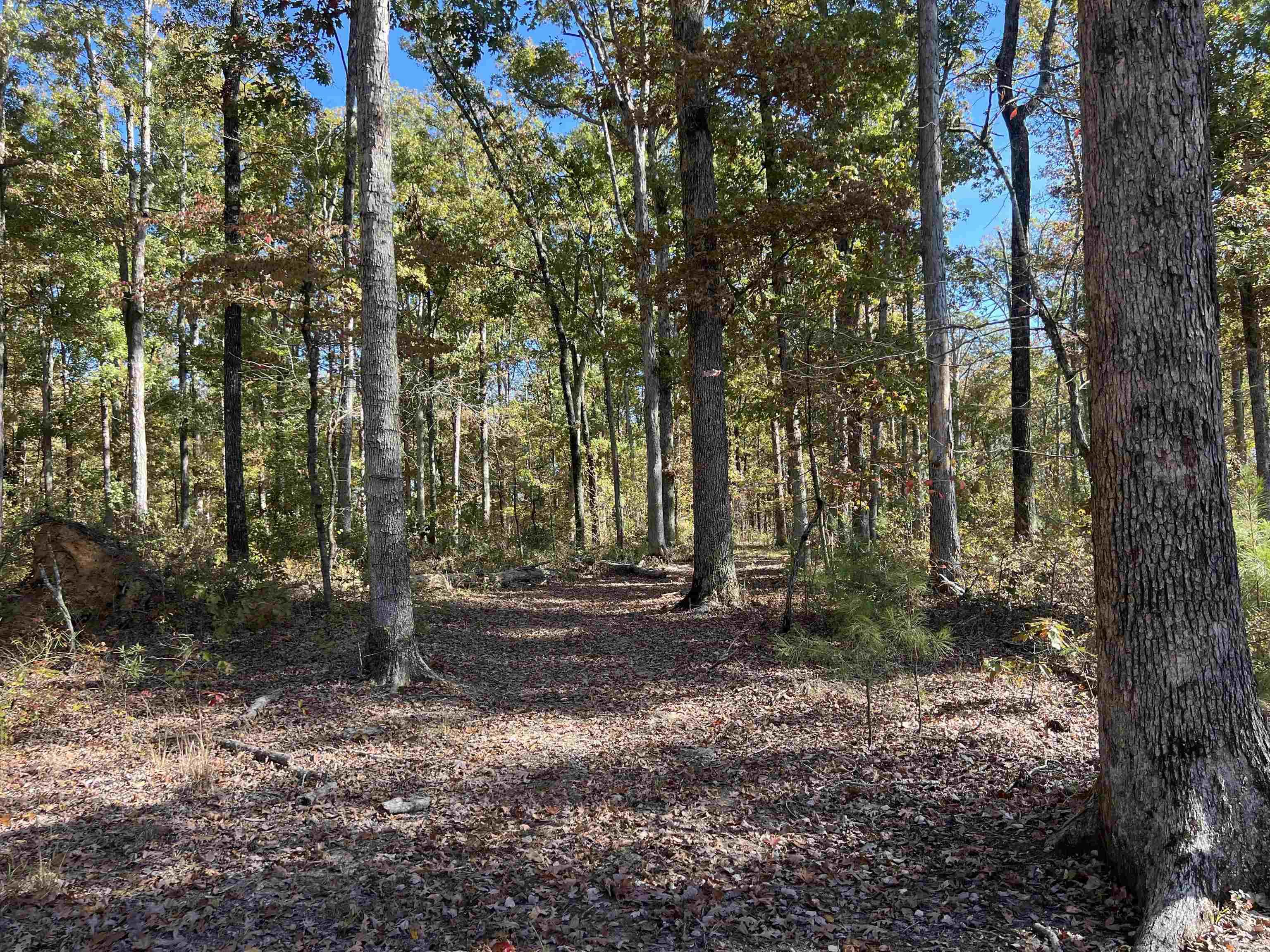 10875 Highway 133  Pine Bluff, AR