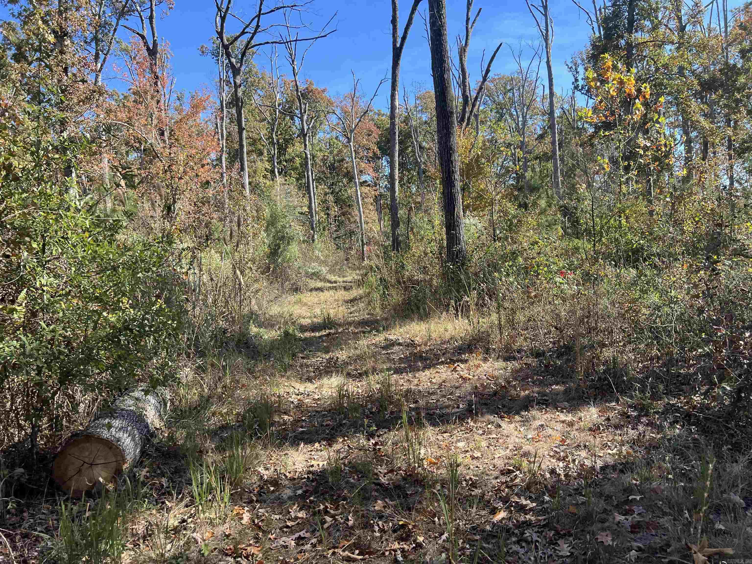 10875 Highway 133  Pine Bluff, AR