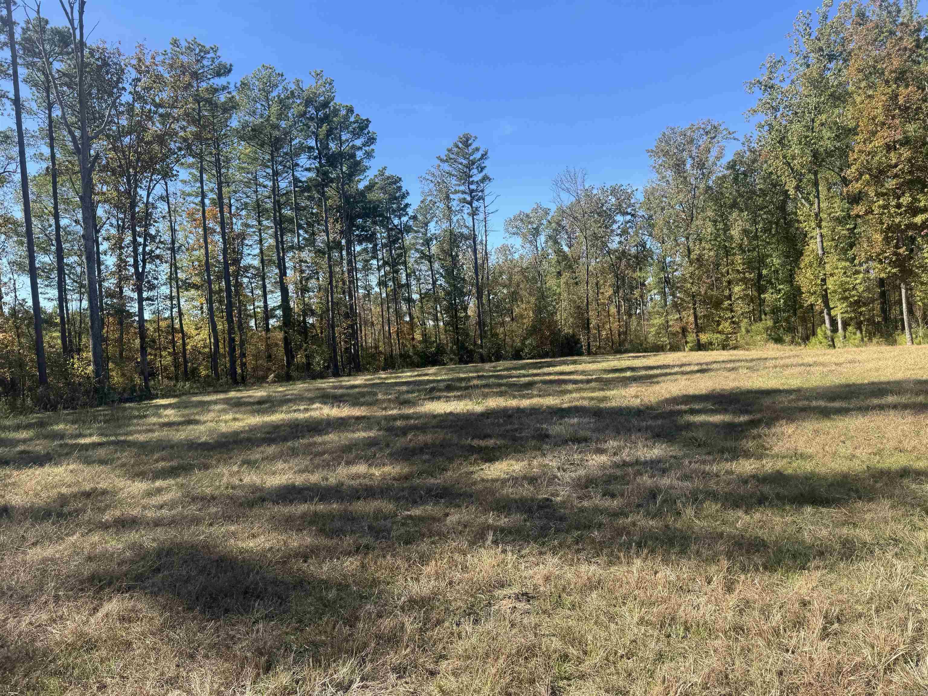 10875 Highway 133  Pine Bluff, AR