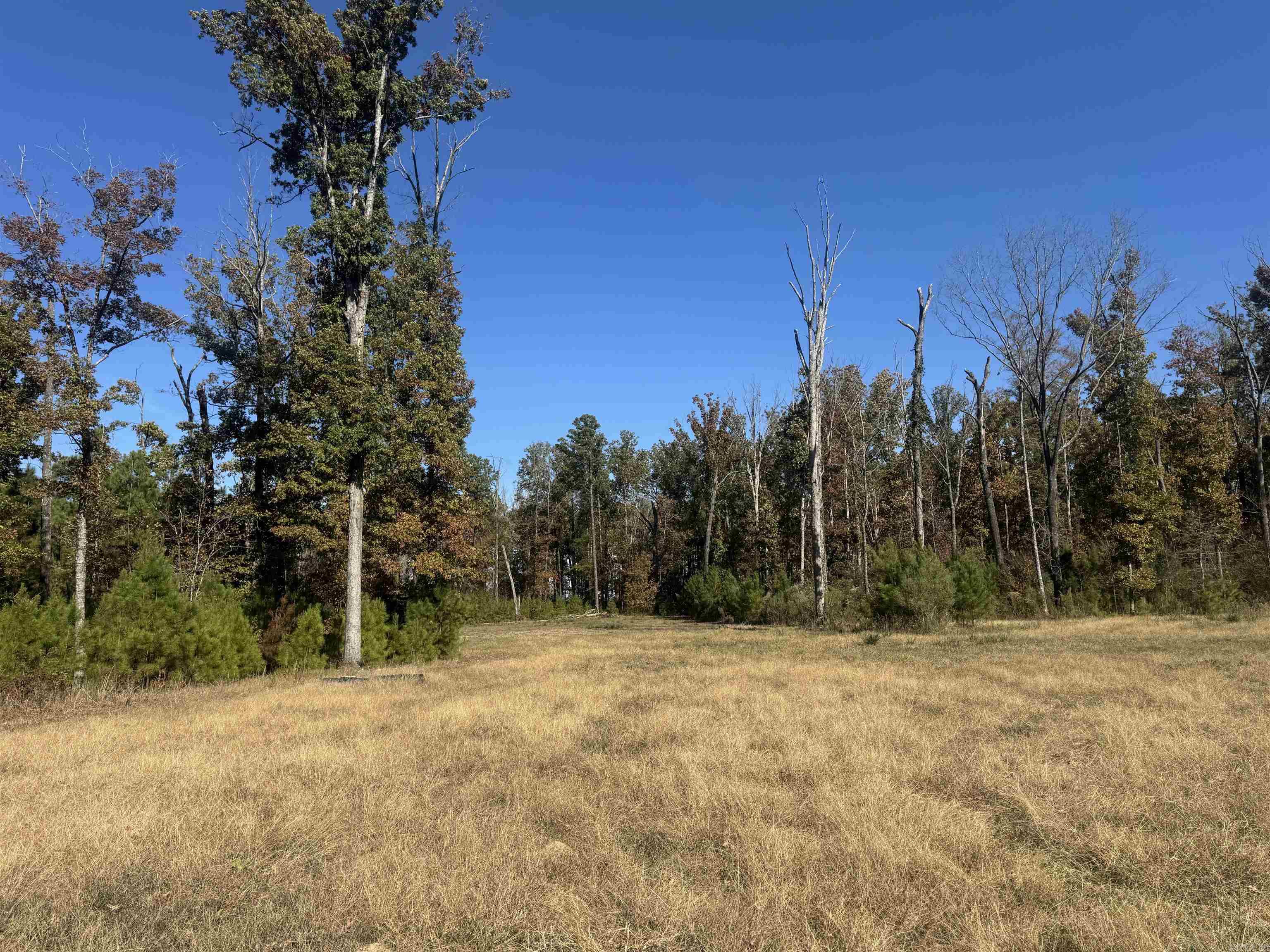 10875 Highway 133  Pine Bluff, AR