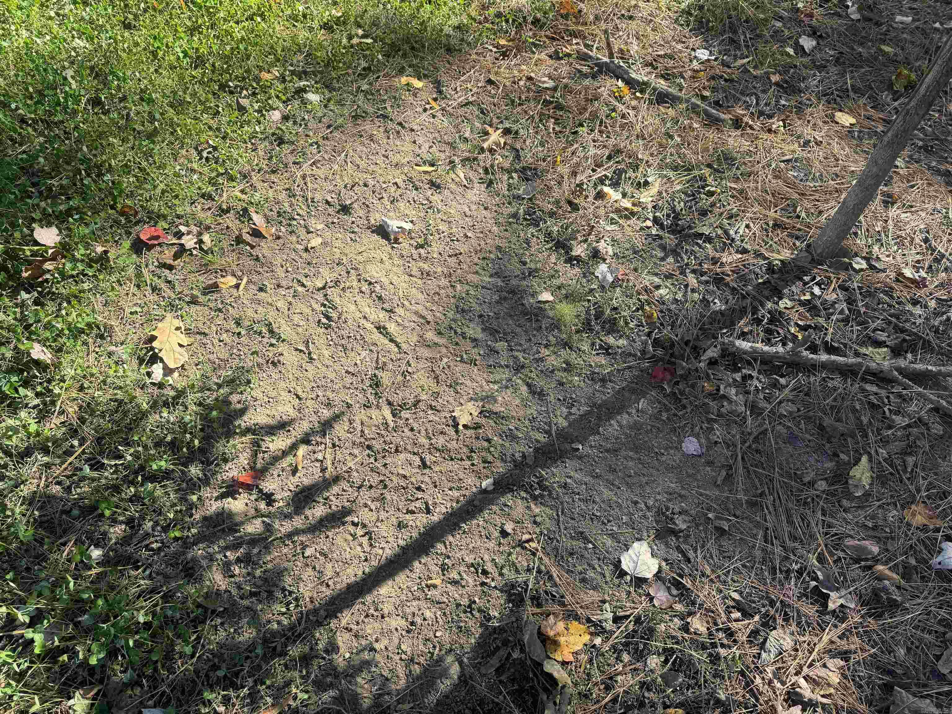 10875 Highway 133  Pine Bluff, AR