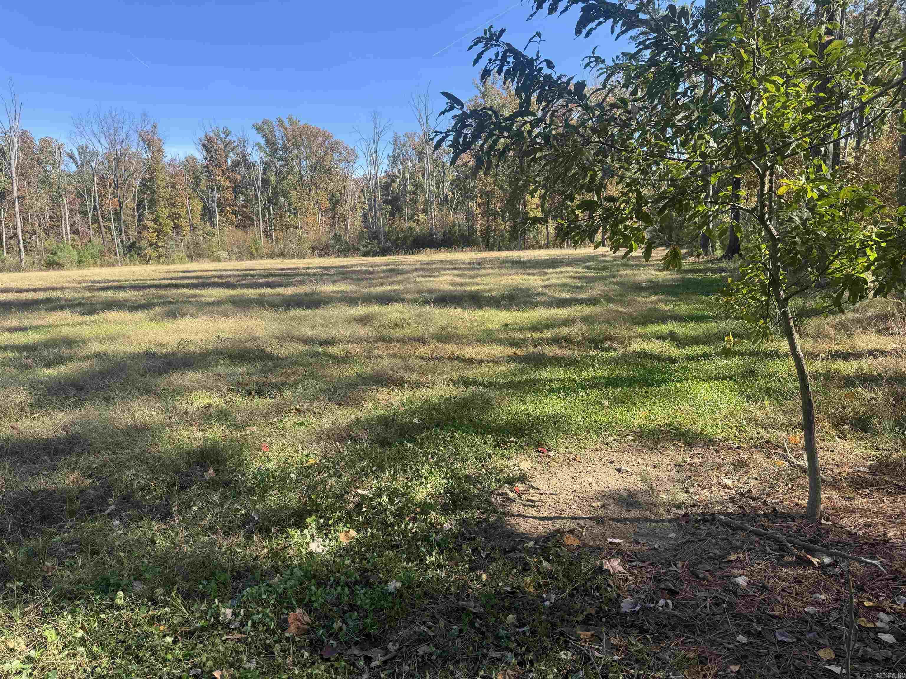 10875 Highway 133  Pine Bluff, AR