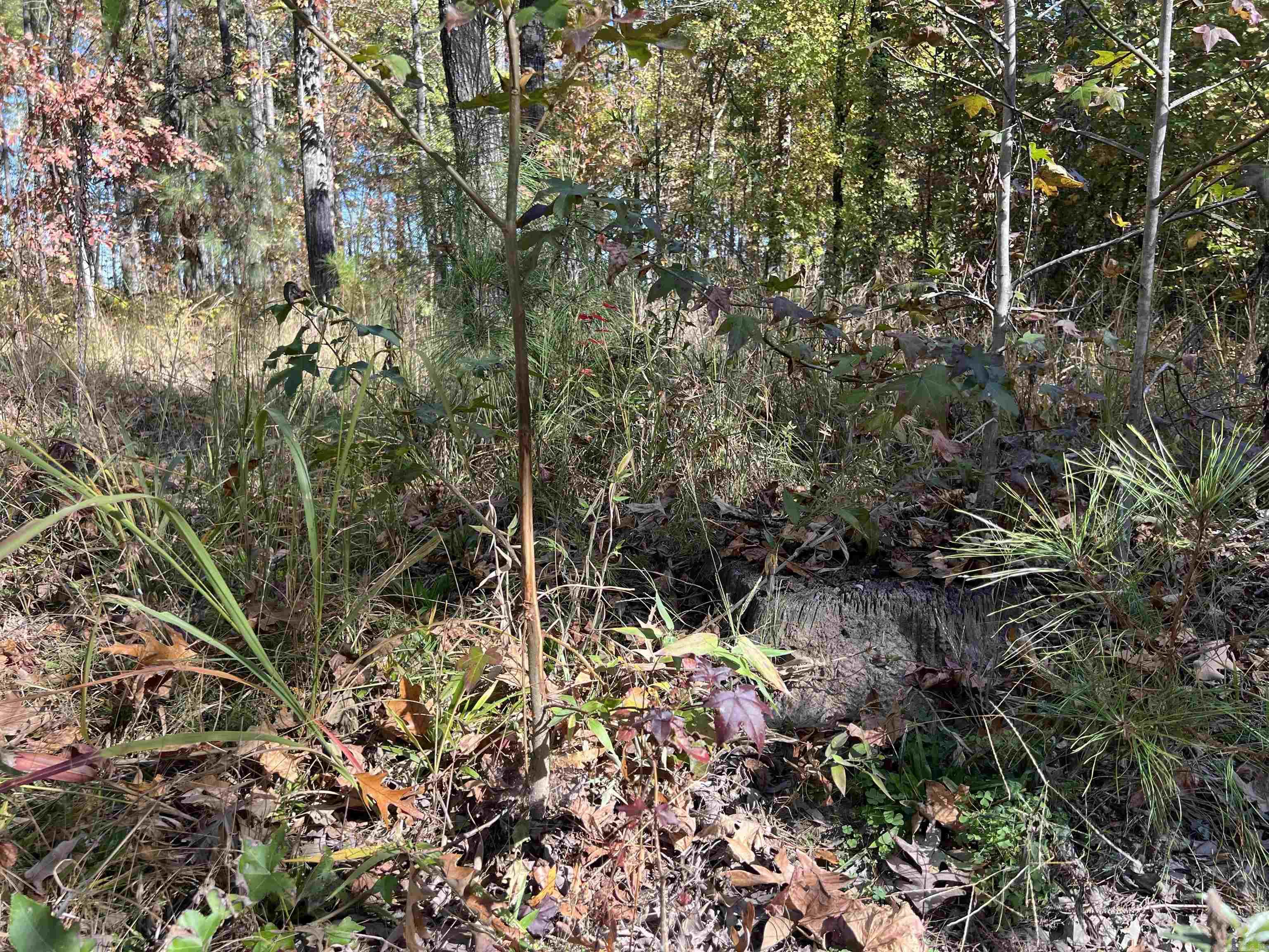 10875 Highway 133  Pine Bluff, AR