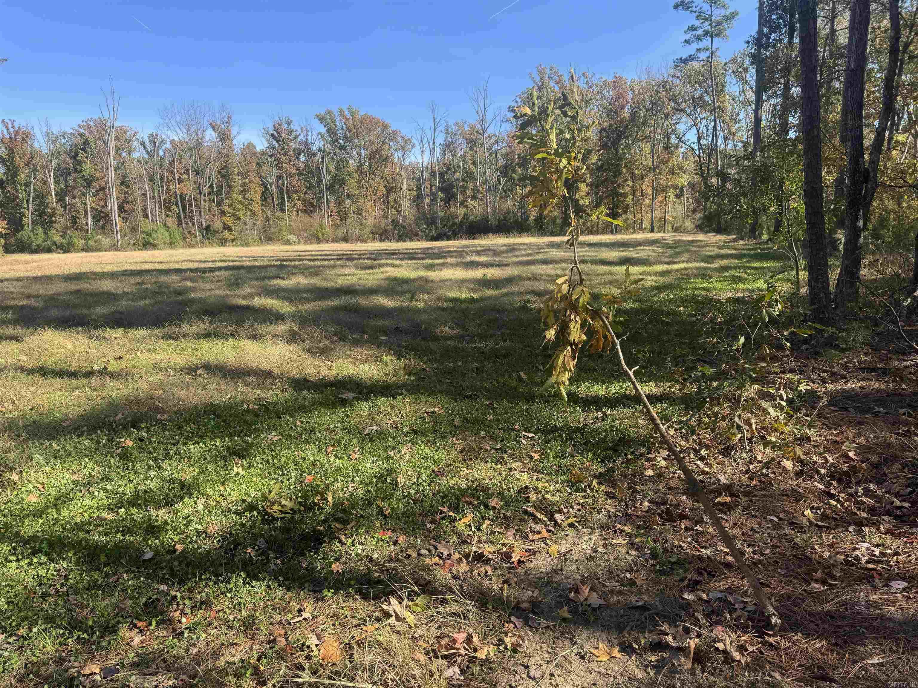 10875 Highway 133  Pine Bluff, AR