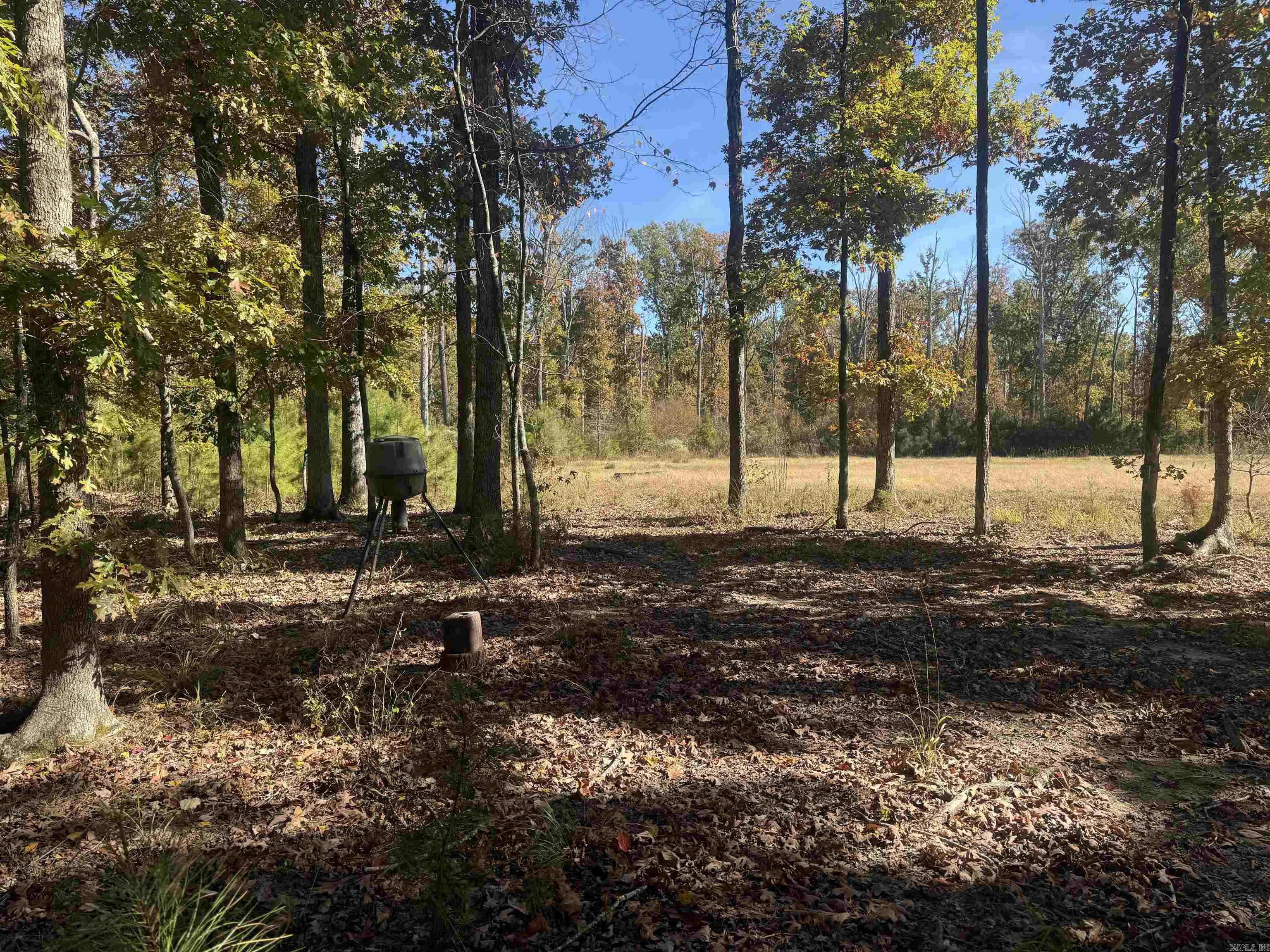 10875 Highway 133  Pine Bluff, AR