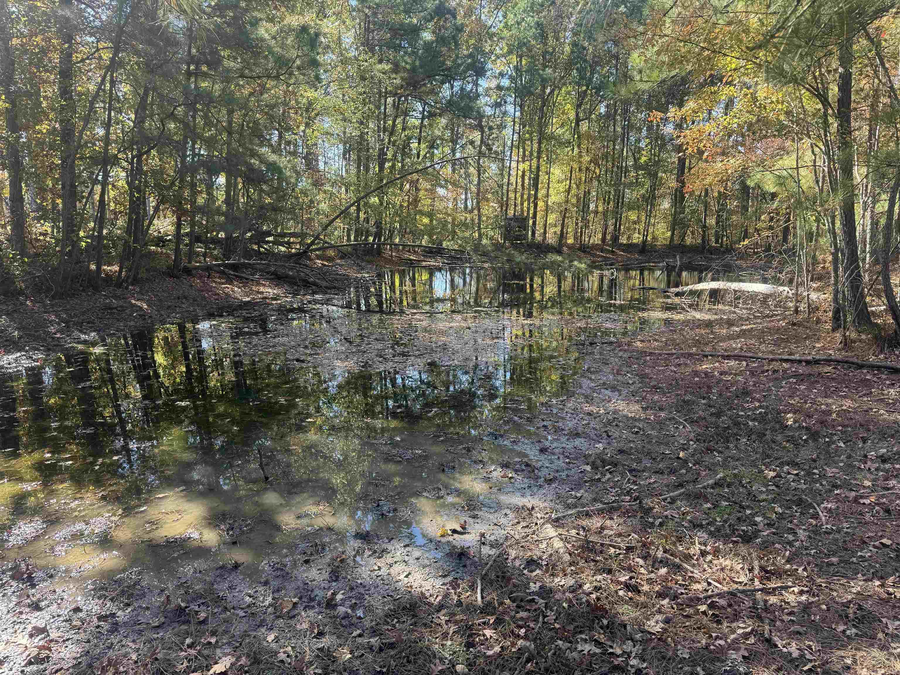 10875 Highway 133  Pine Bluff, AR