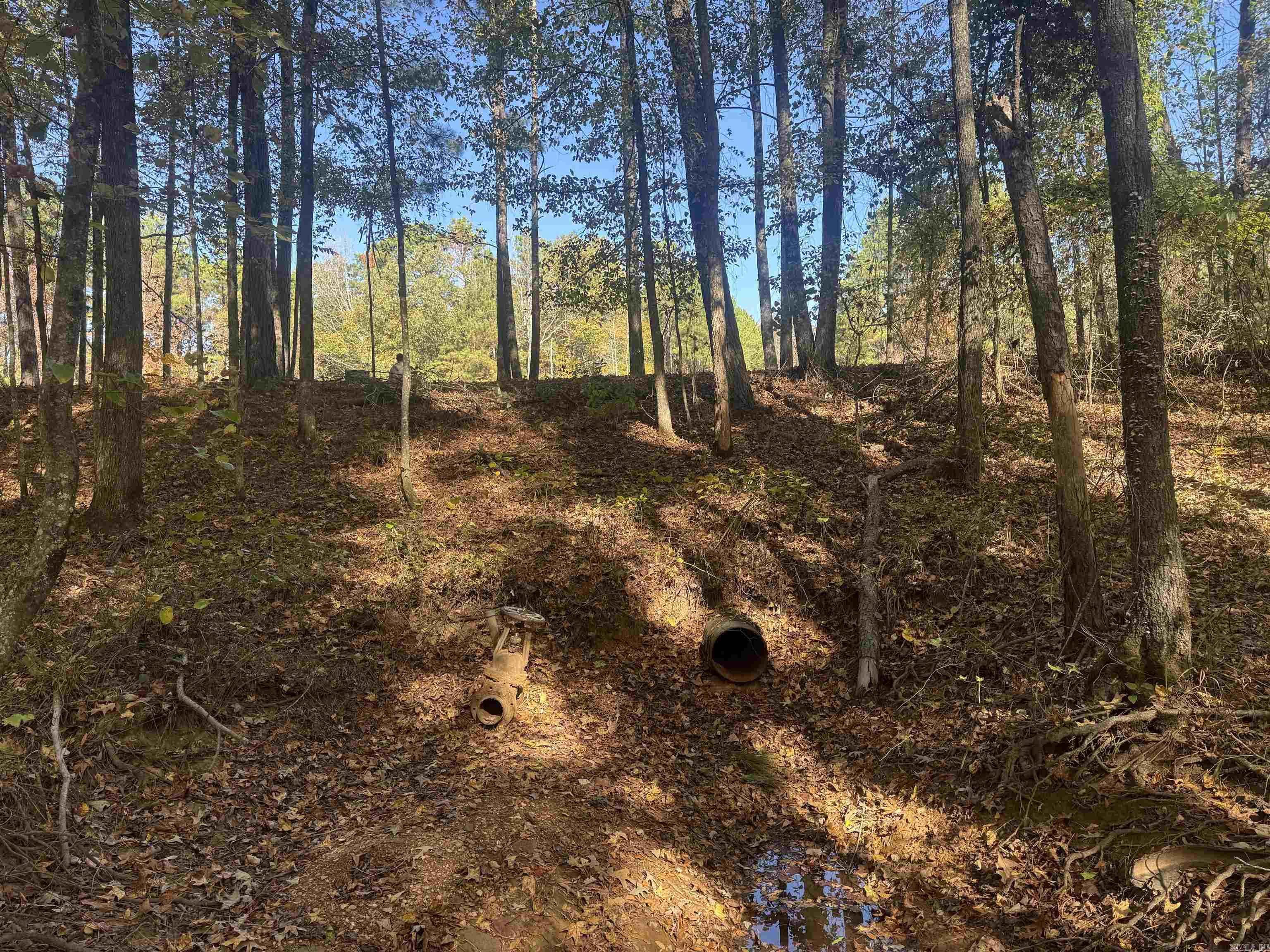 10875 Highway 133  Pine Bluff, AR