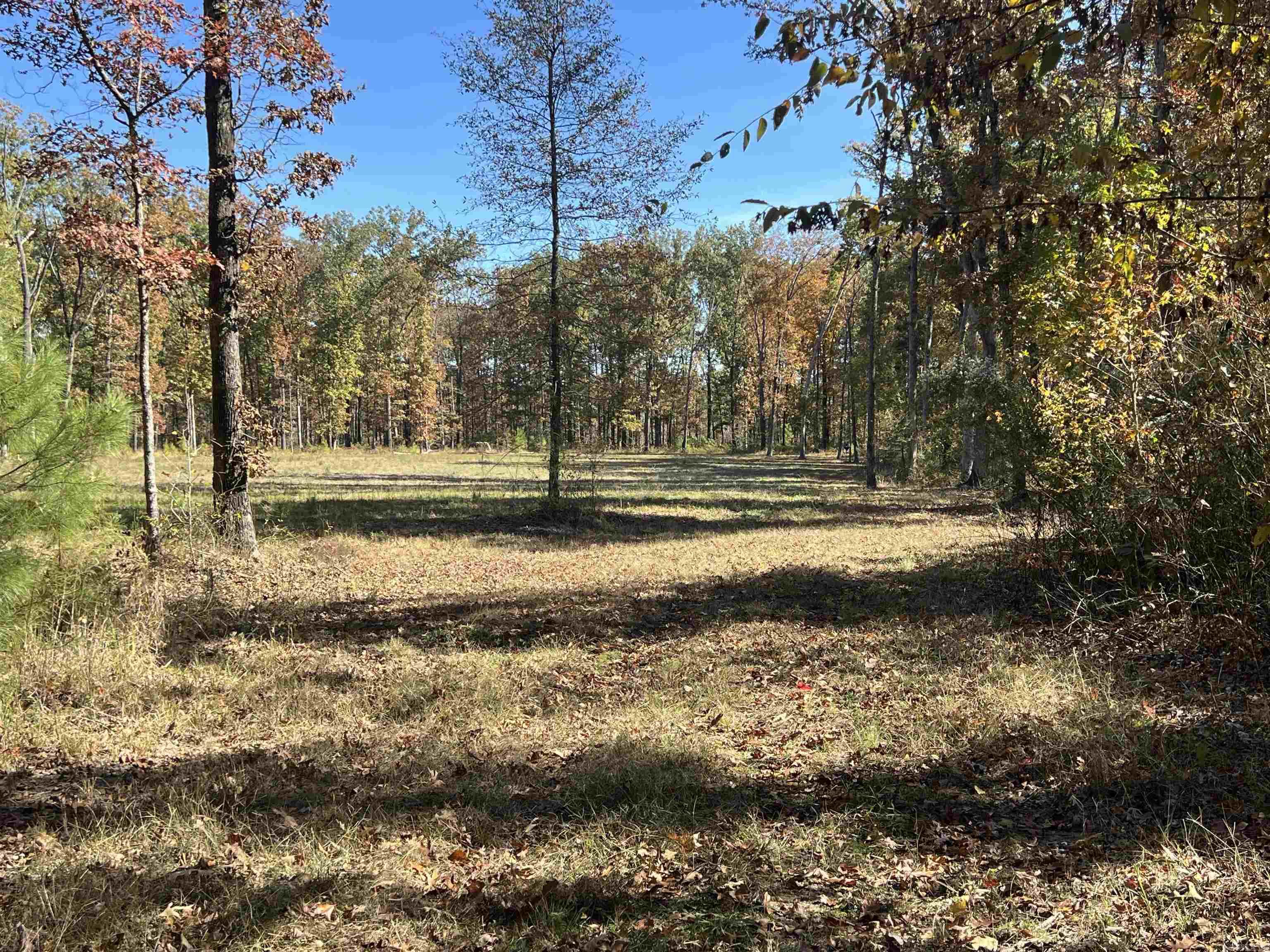 10875 Highway 133  Pine Bluff, AR