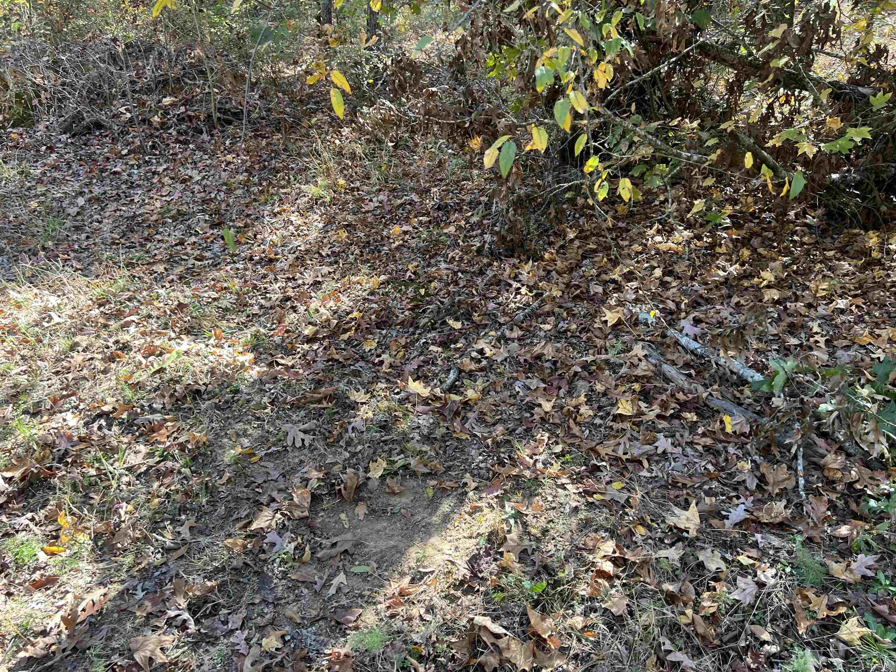 10875 Highway 133  Pine Bluff, AR